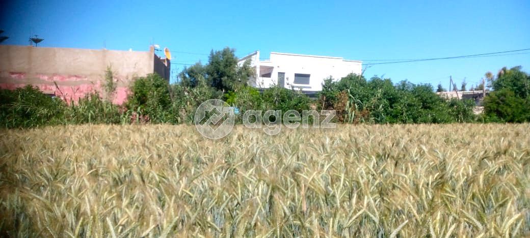 Que 160.00 / m² — 3