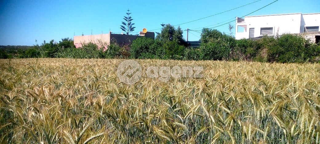 Que 160.00 / m² — 2