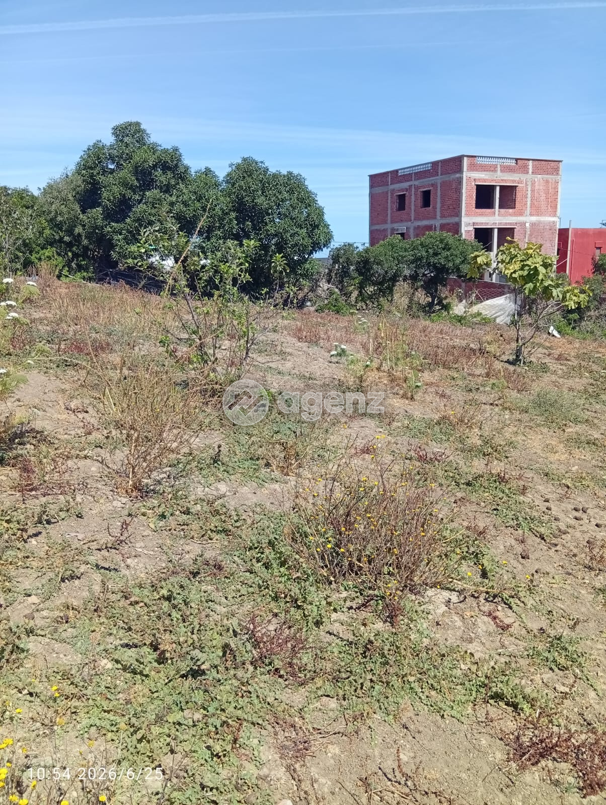 Auténtico Terreno en venta — 2