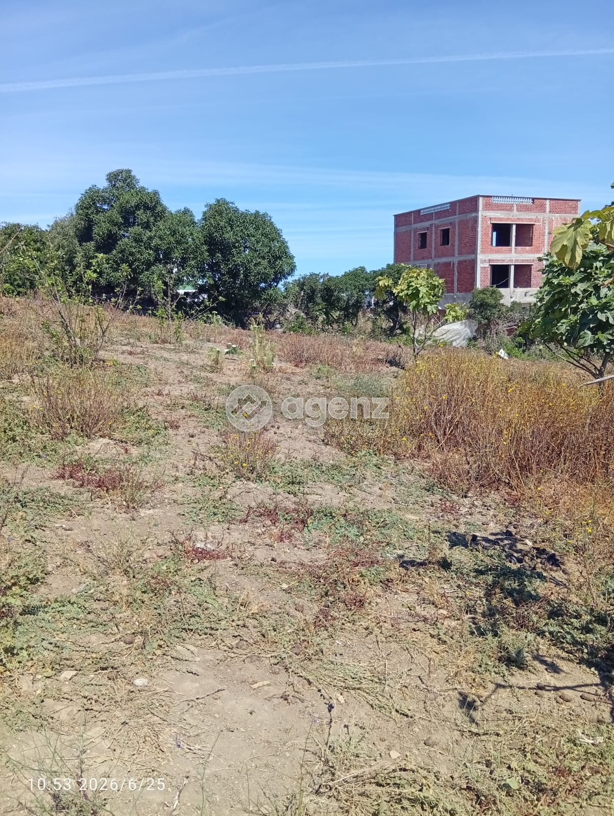 Auténtico Terreno en venta — 3