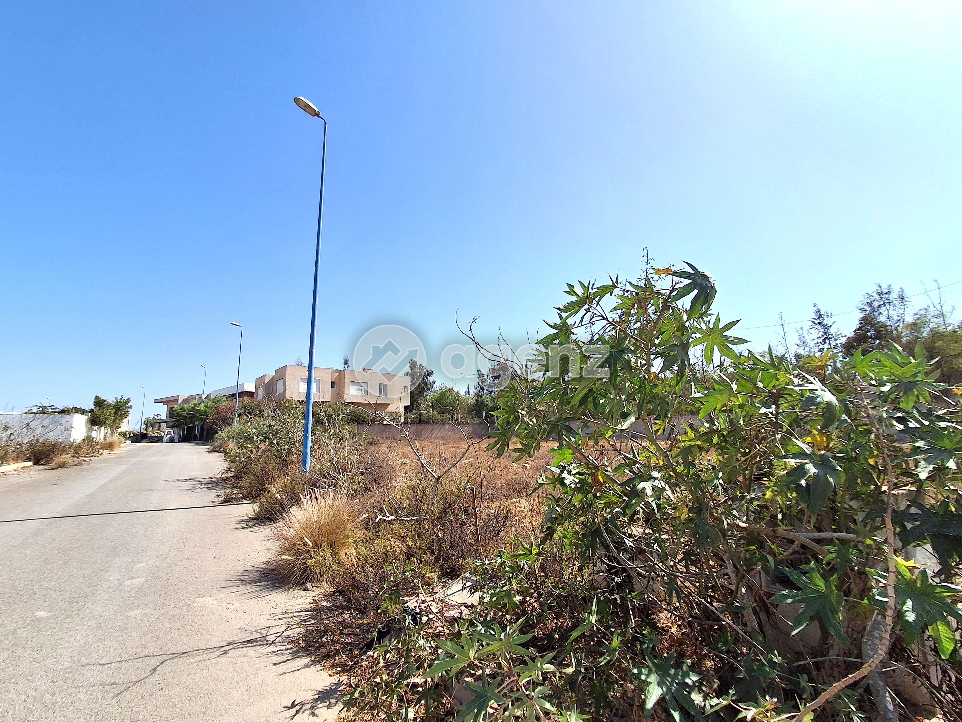 Terrain — Bouskoura