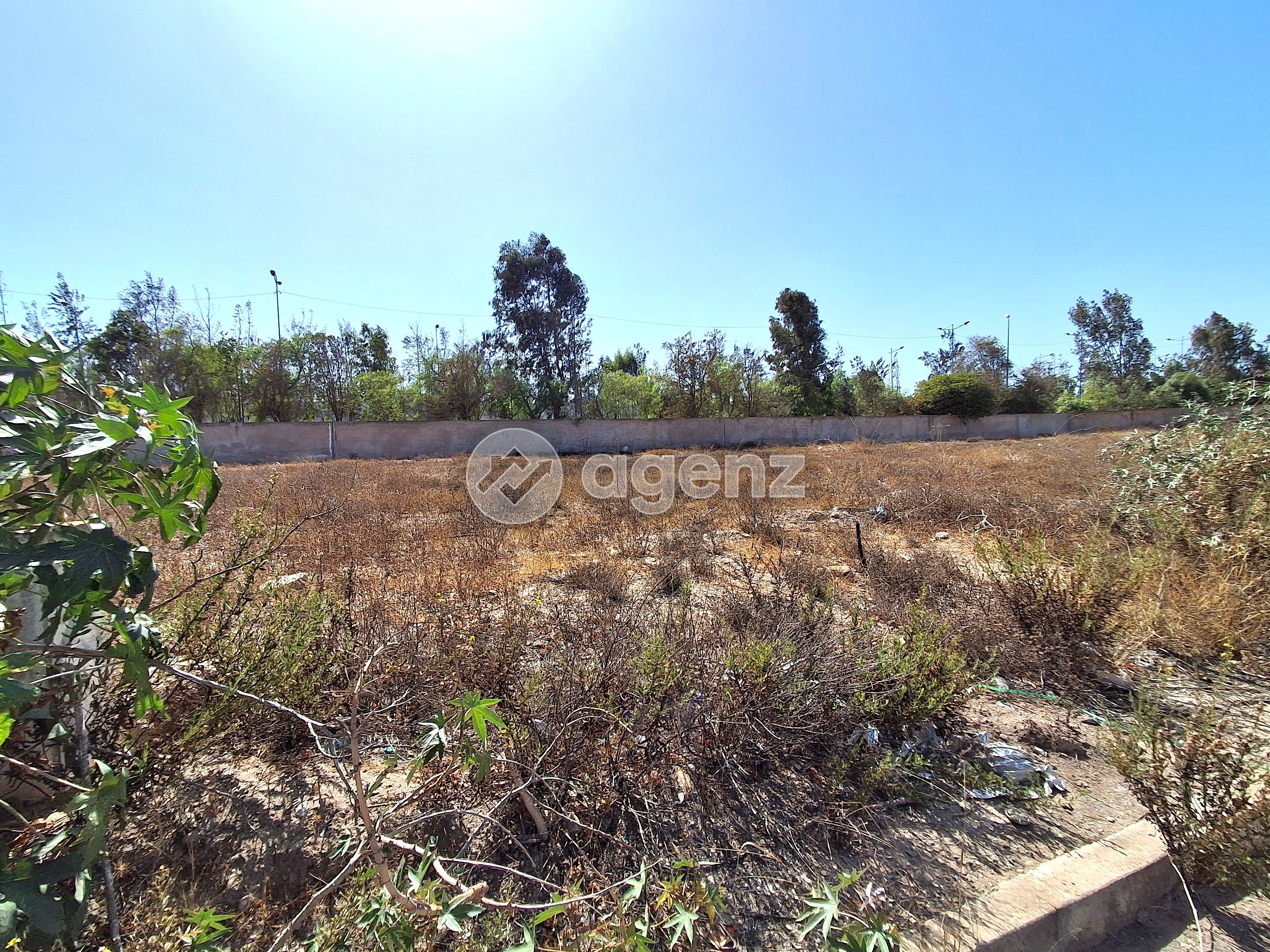 Terrain — Bouskoura — 3