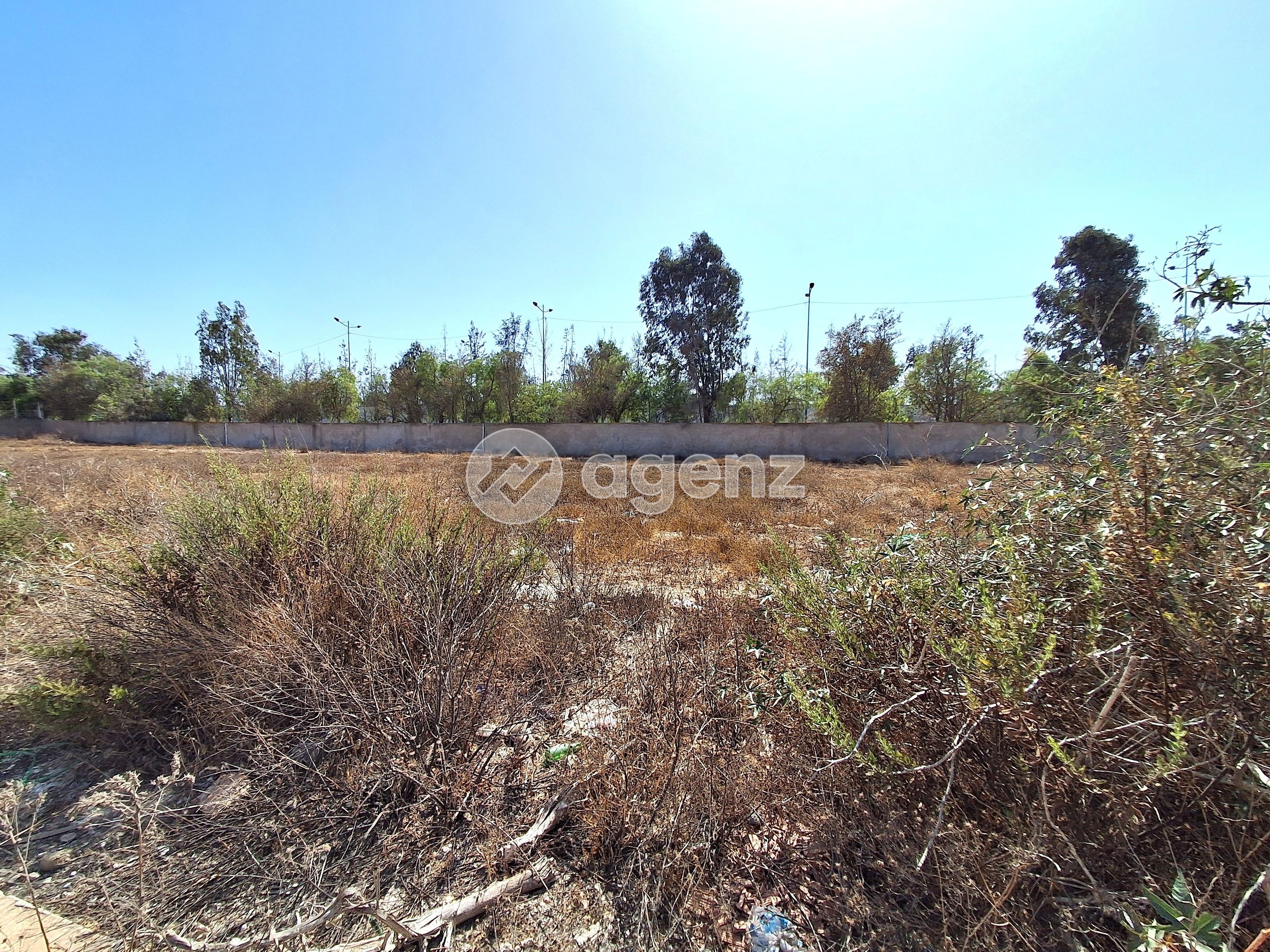 Terrain — Bouskoura — 2