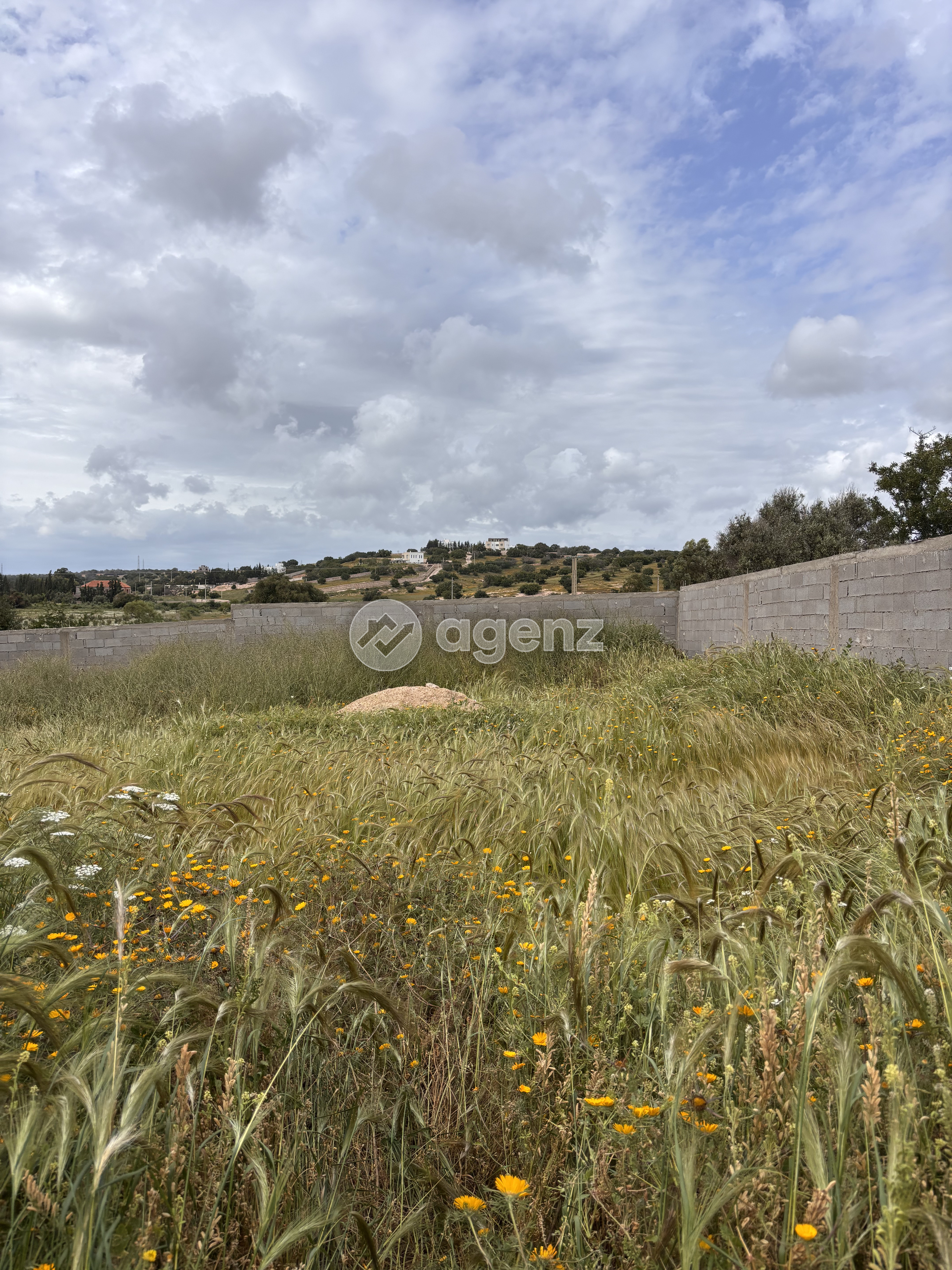 Terrain à vendre IDAOUGUERD 554 m² — 3