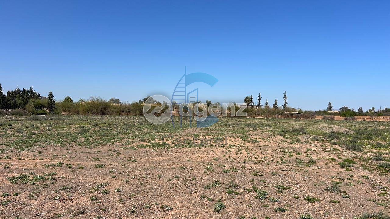 Terrain — Marrakech — 2