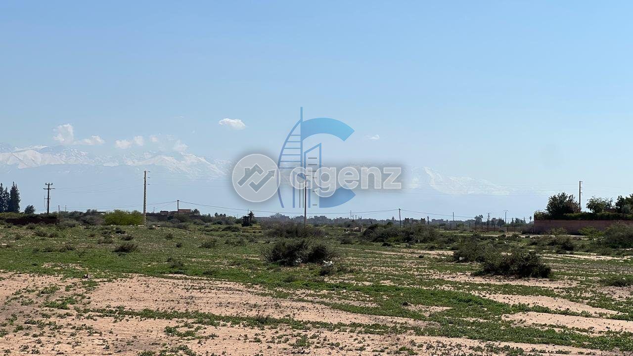 Terrain — Marrakech — 3