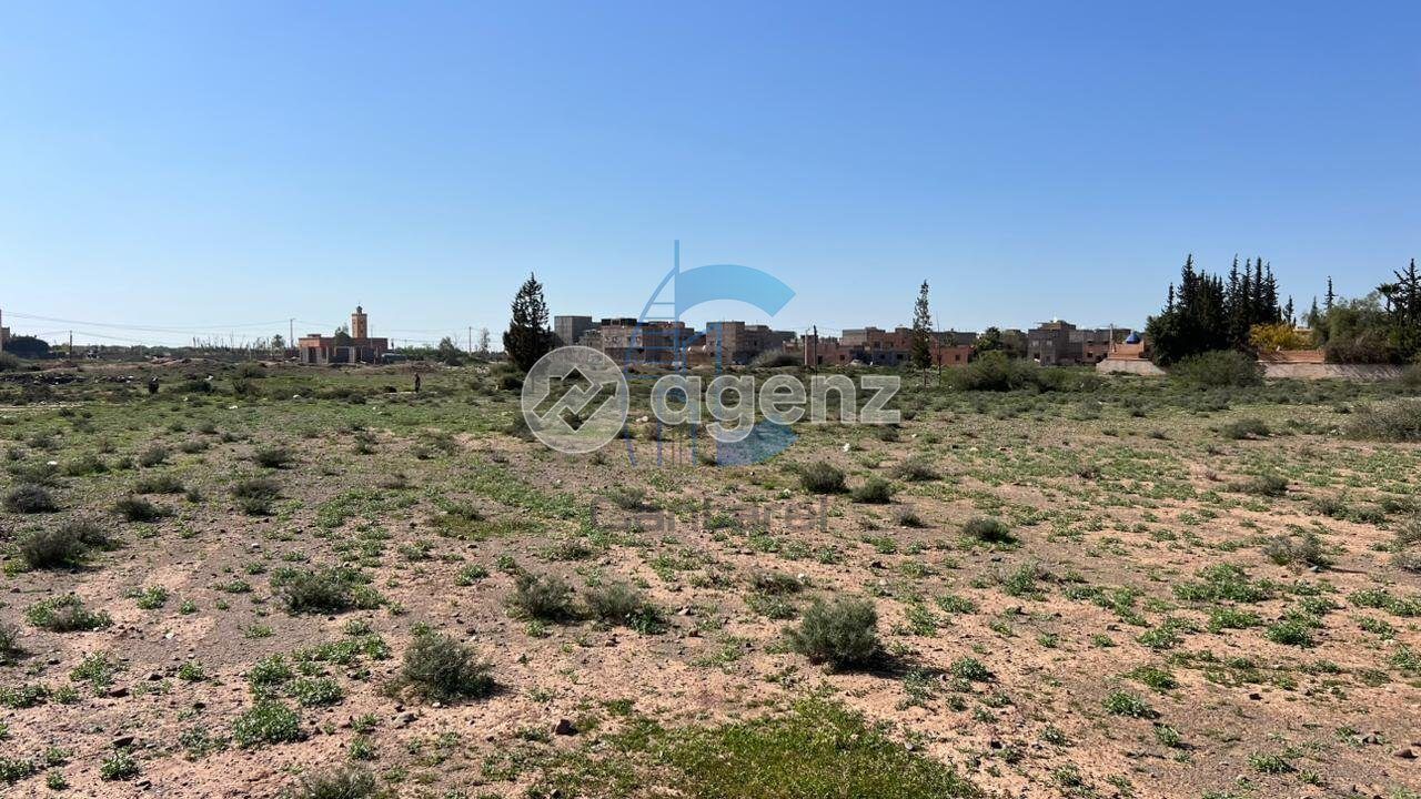 Terrain — Marrakech — 4