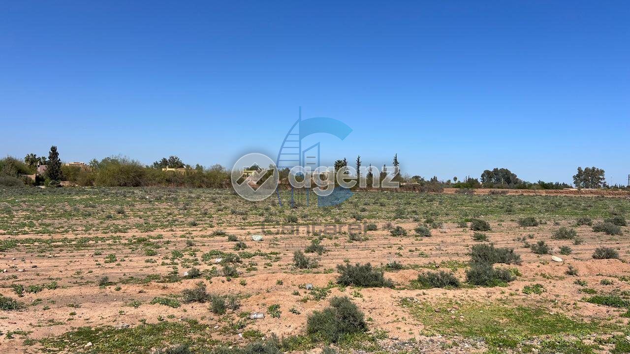 Terrain — Marrakech — 5