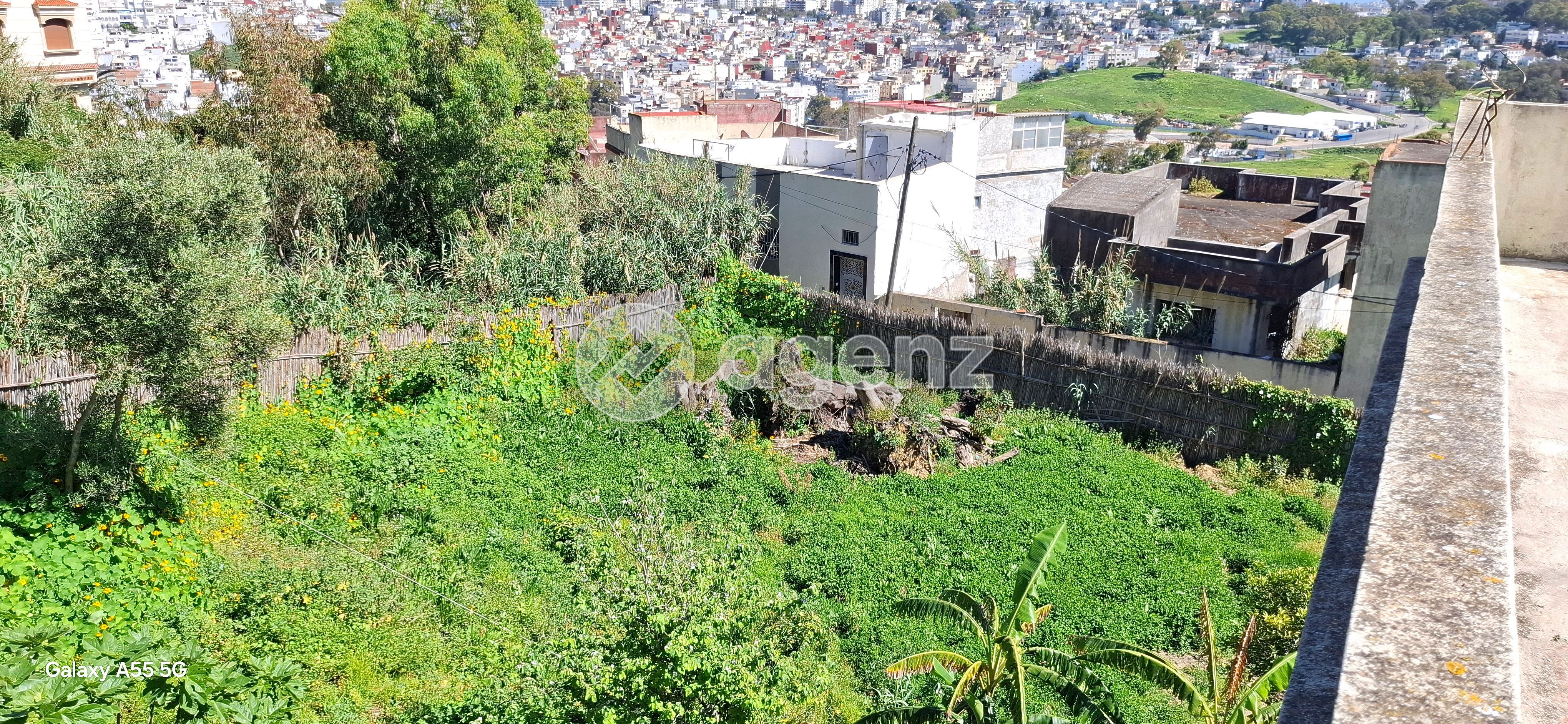 Terrain pour villa à vendre au secteur Jbel Kebir  — 5