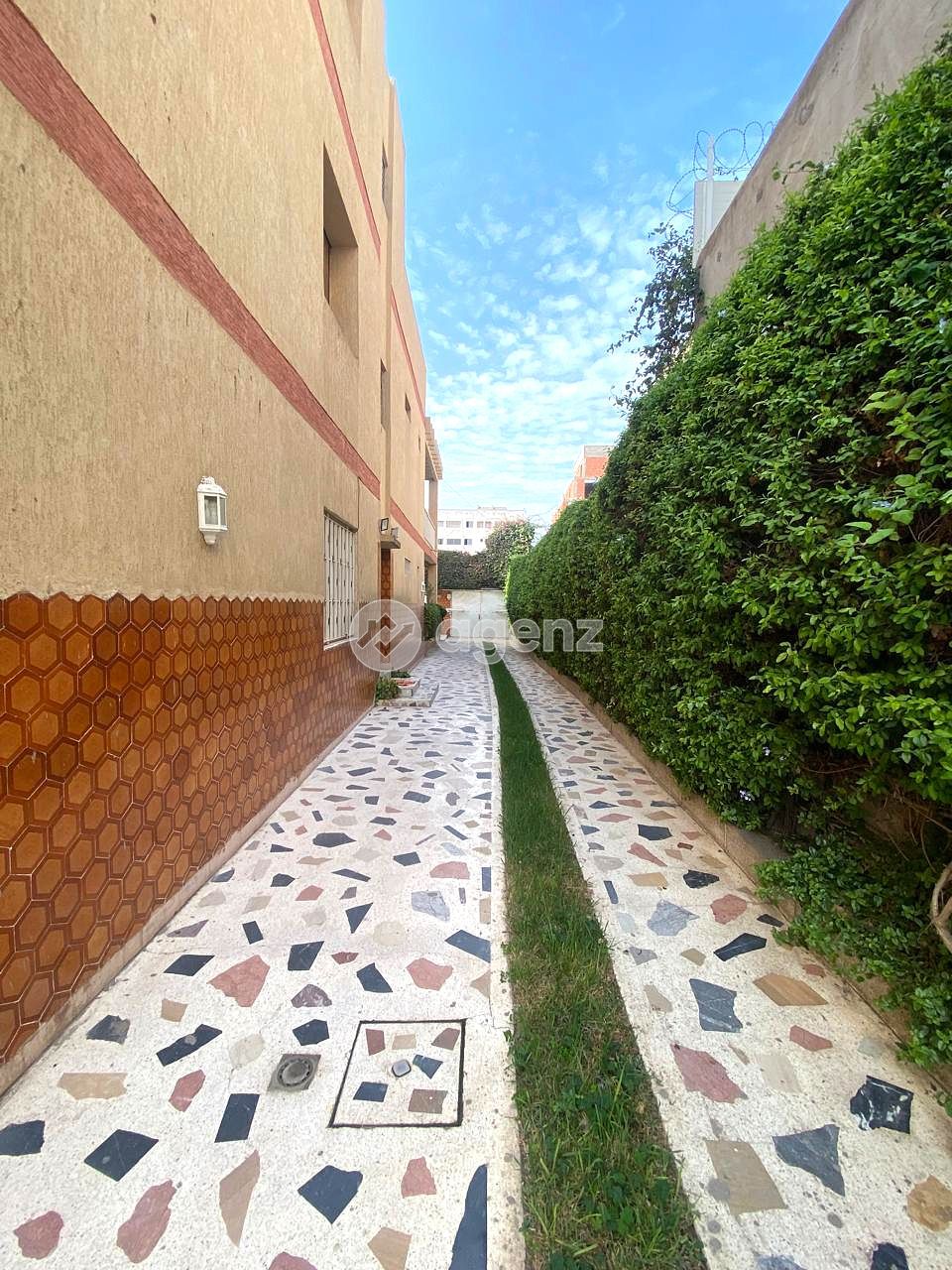 Terrain — Casablanca — 4