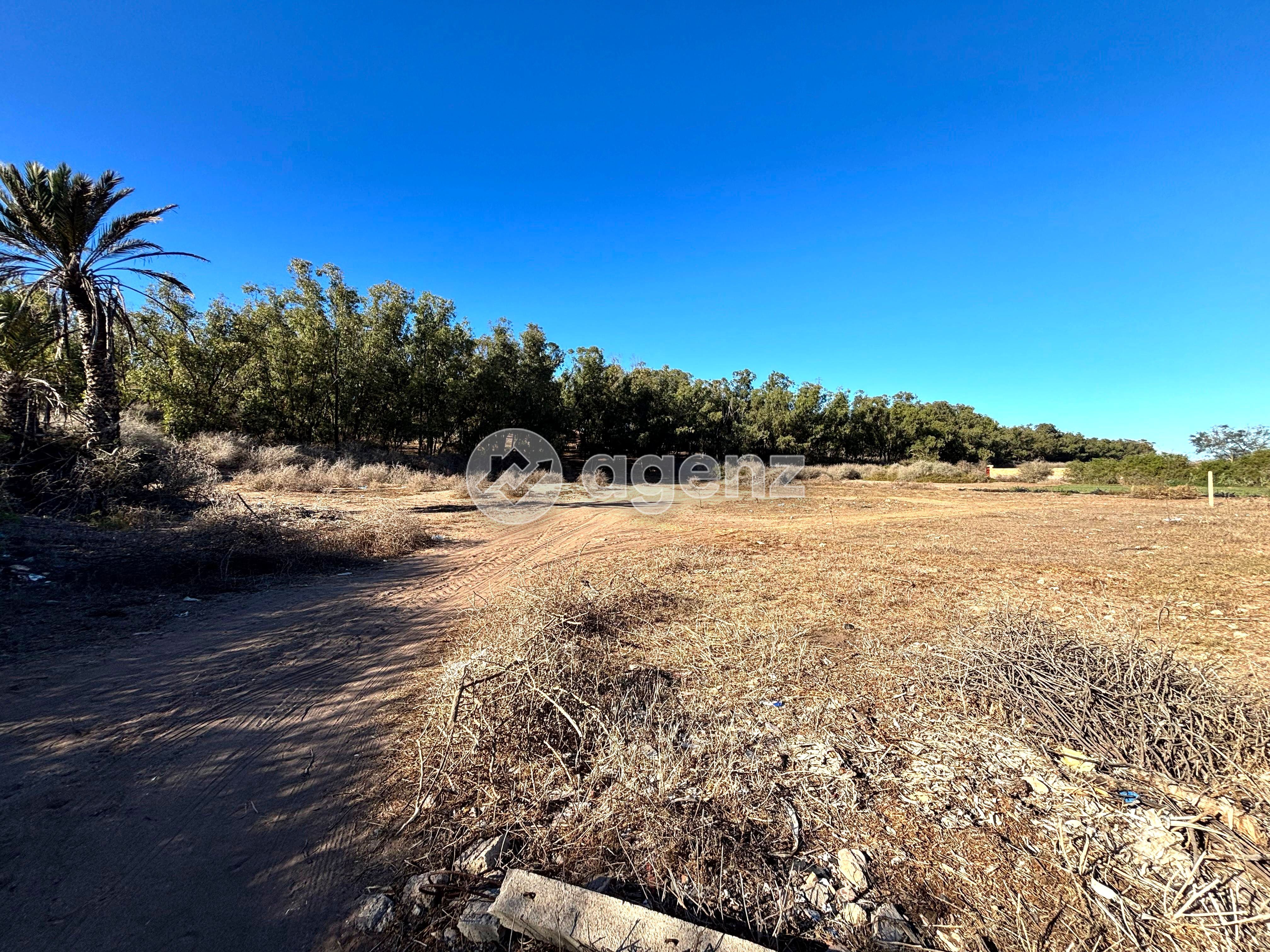 Charmant Terrain à vendre à Sidi Rahal — 4