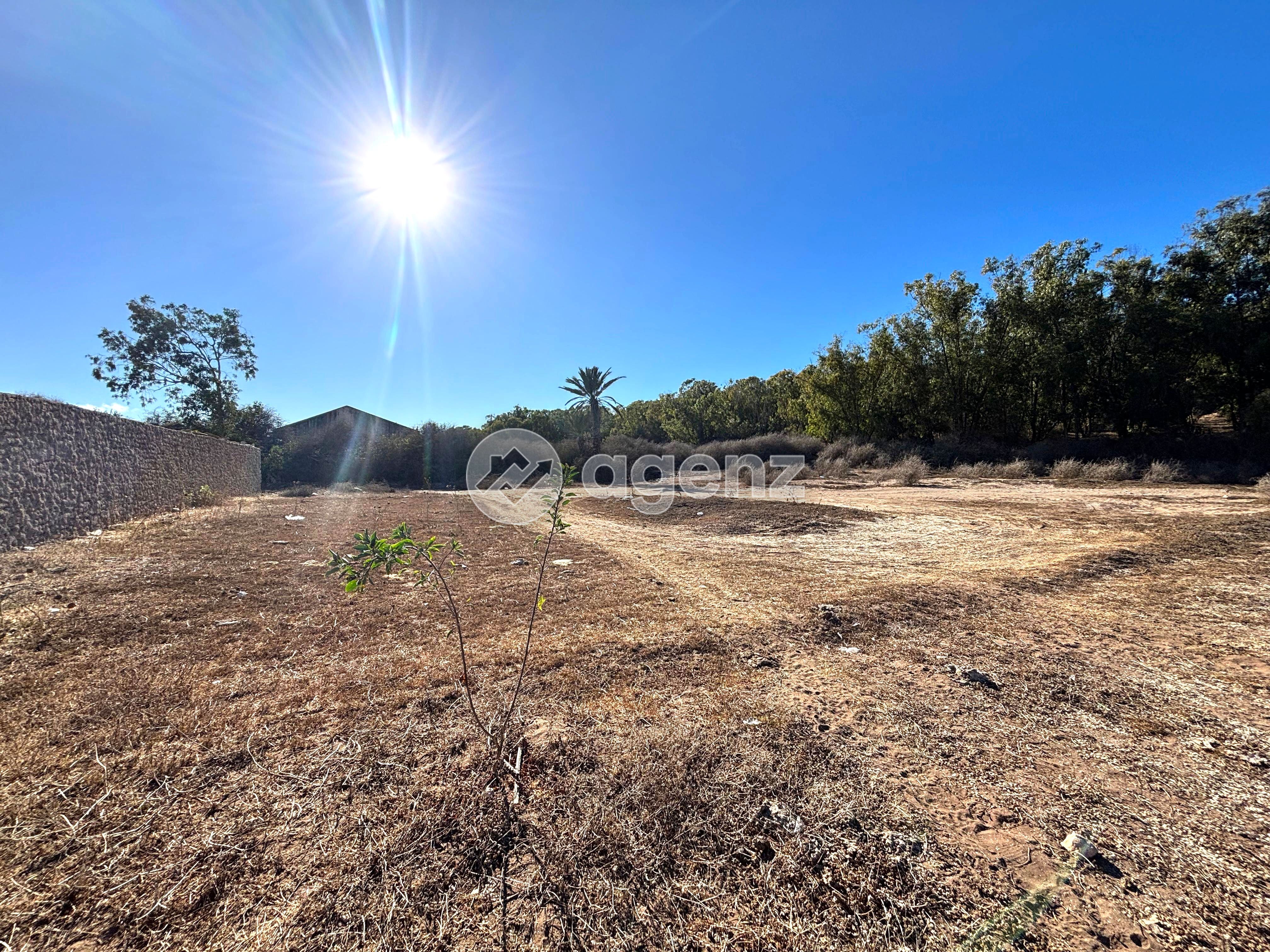 Charmant Terrain à vendre à Sidi Rahal — 2