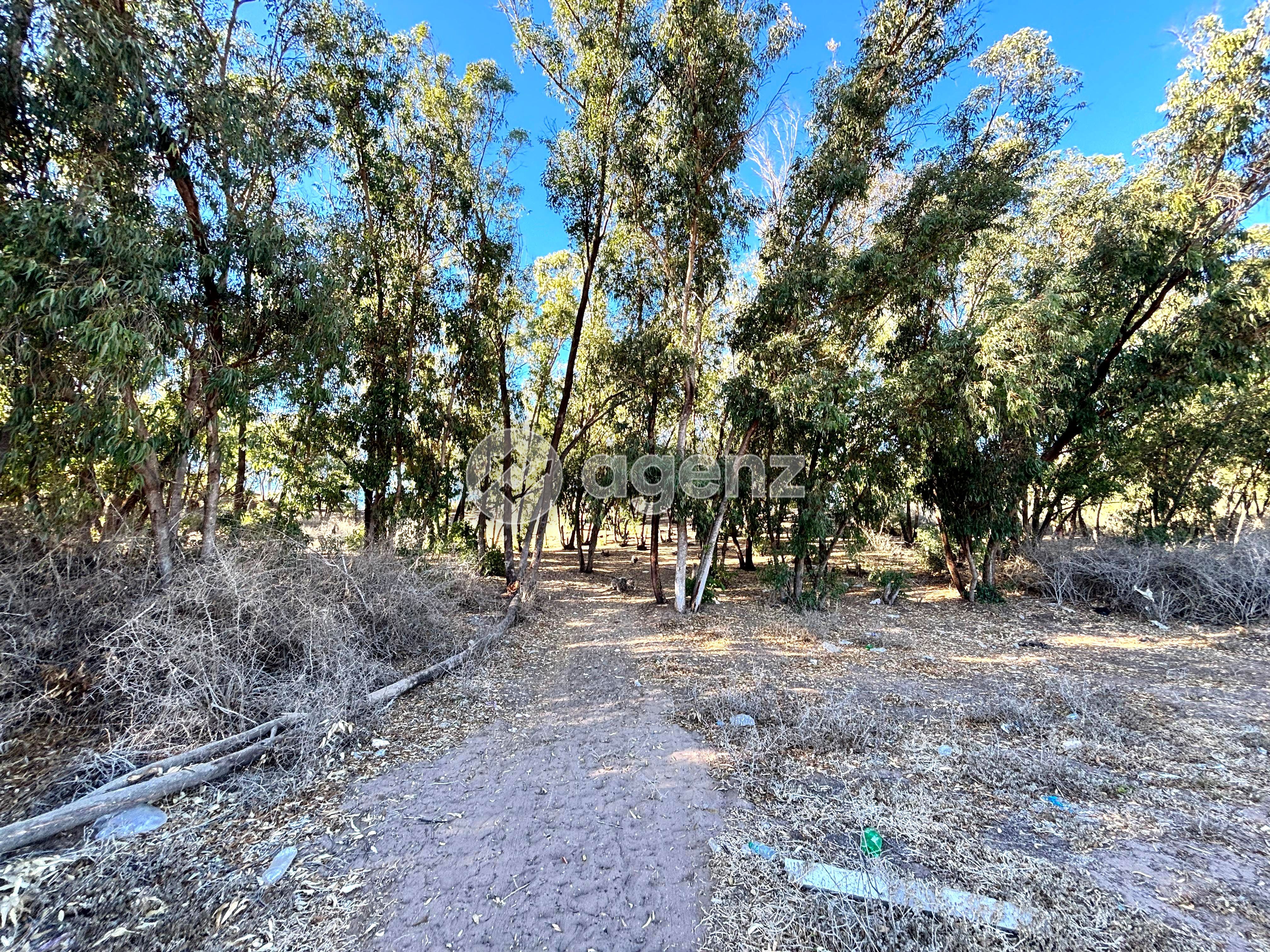 Charmant Terrain à vendre à Sidi Rahal — 5