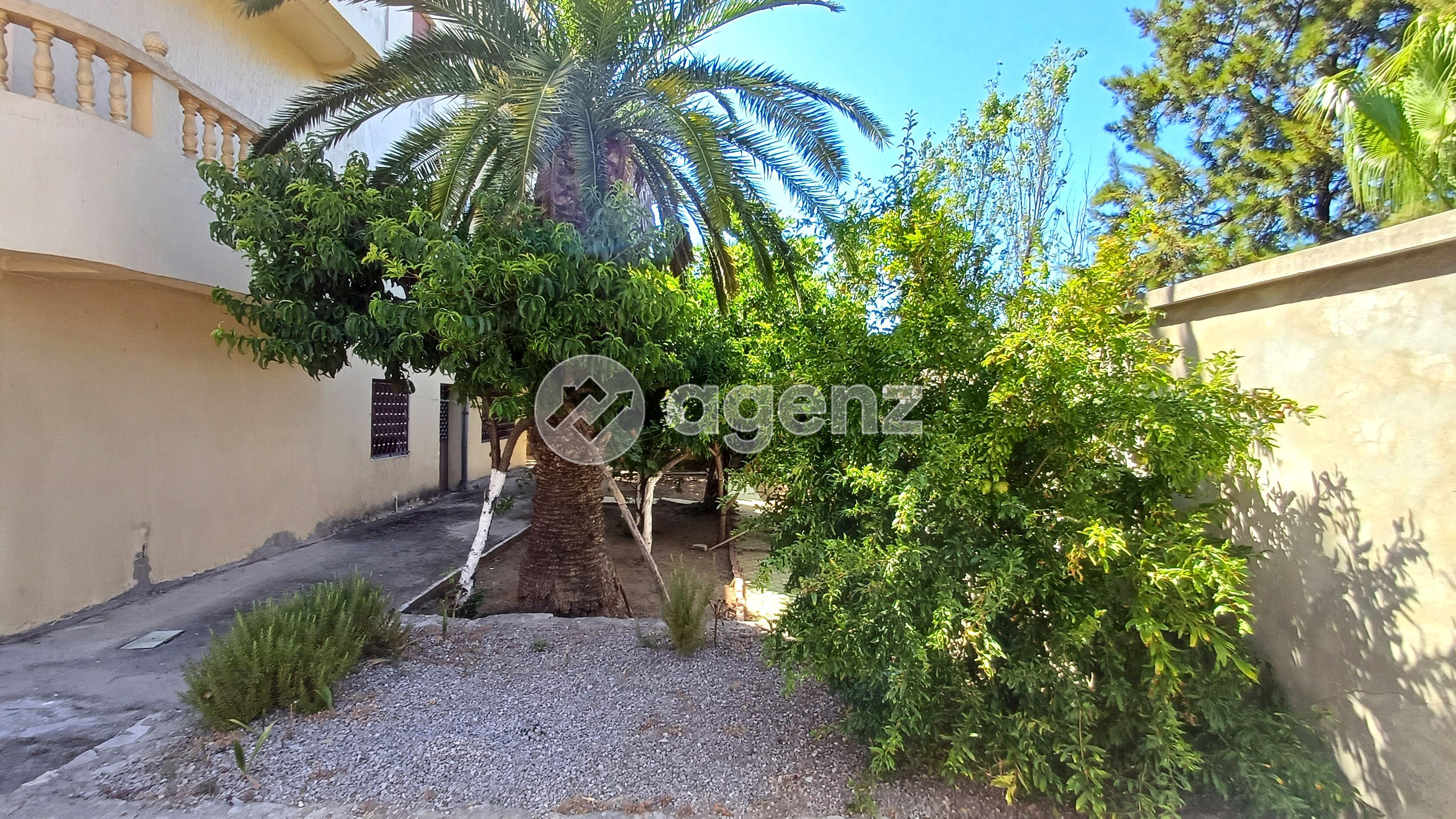 Villa à vendre à Drissia — 4