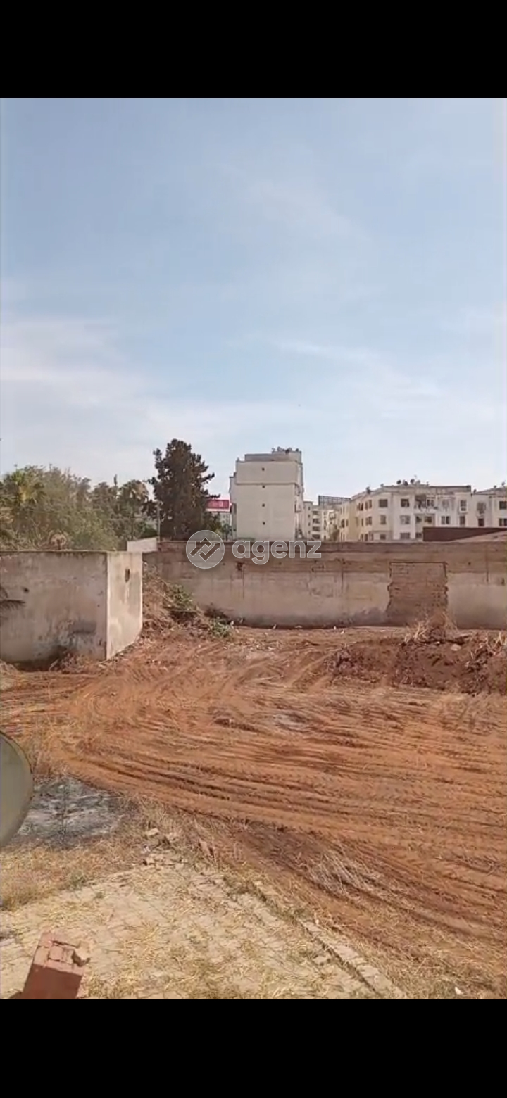 Authentique Terrain à vendre à Sidi Maarouf — 5