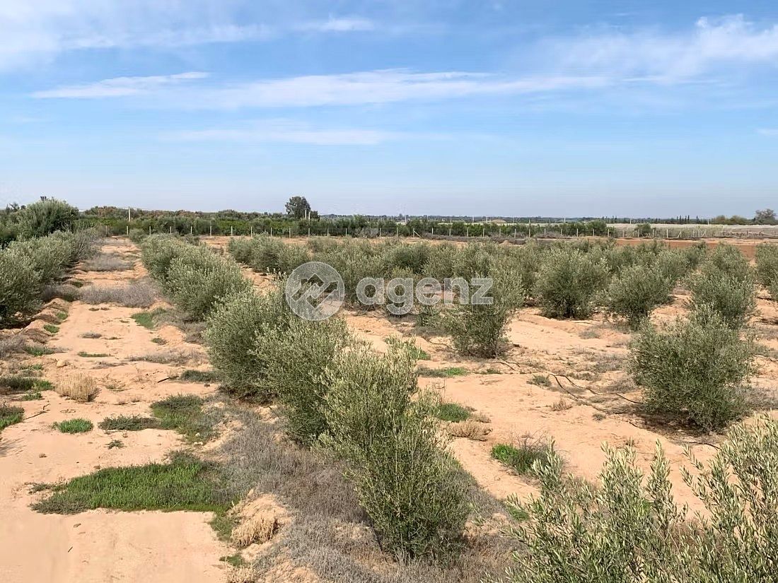 Ferme Agricole à Vendre – Marrakech
