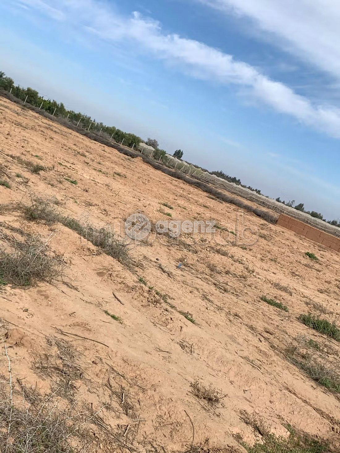 Ferme Agricole à Vendre – Marrakech — 2
