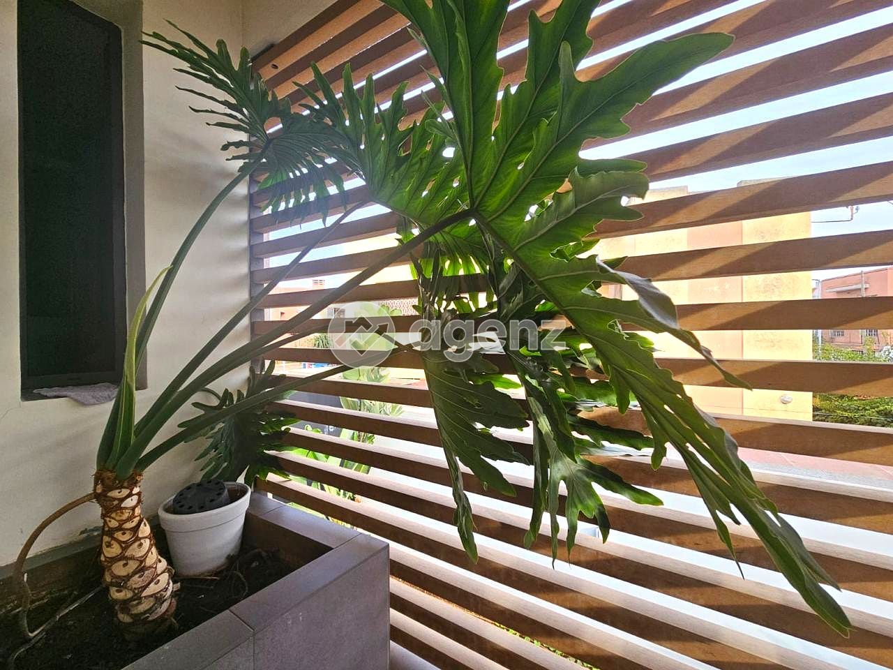 Villa 580 m² à Autre — 2