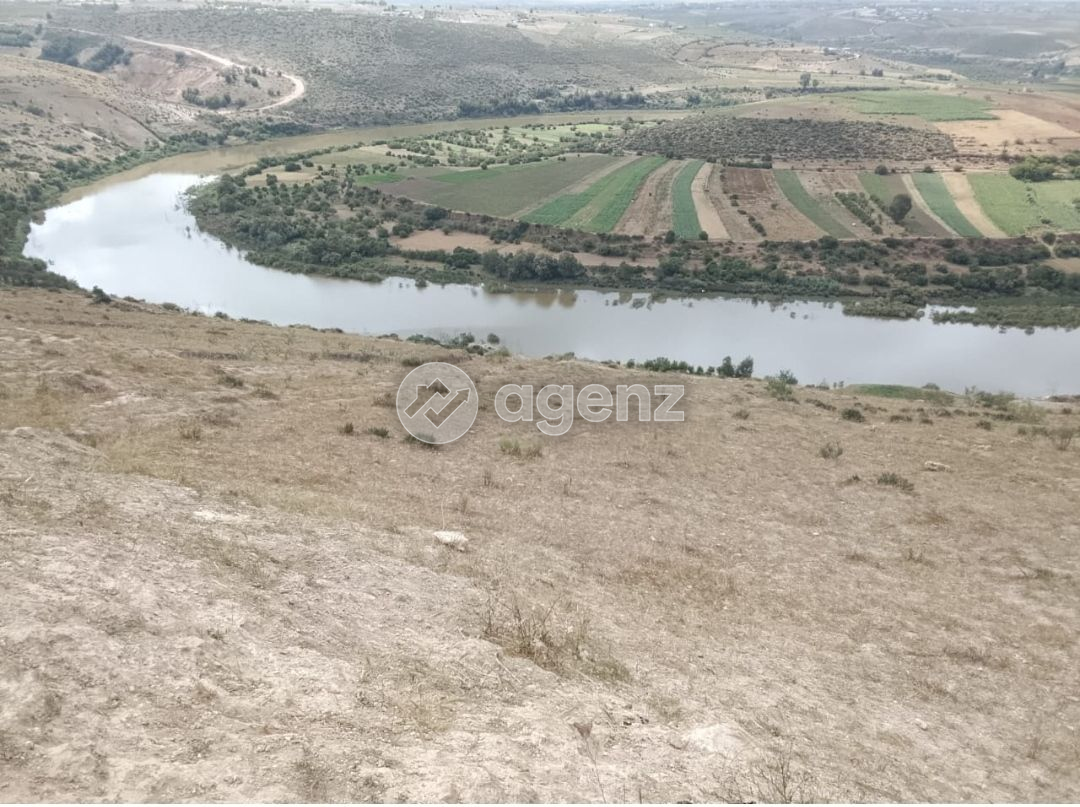 Ferme à vendre dans les environs d'Azemmour – 2000 m² avec une maison prête à être habitée — 3