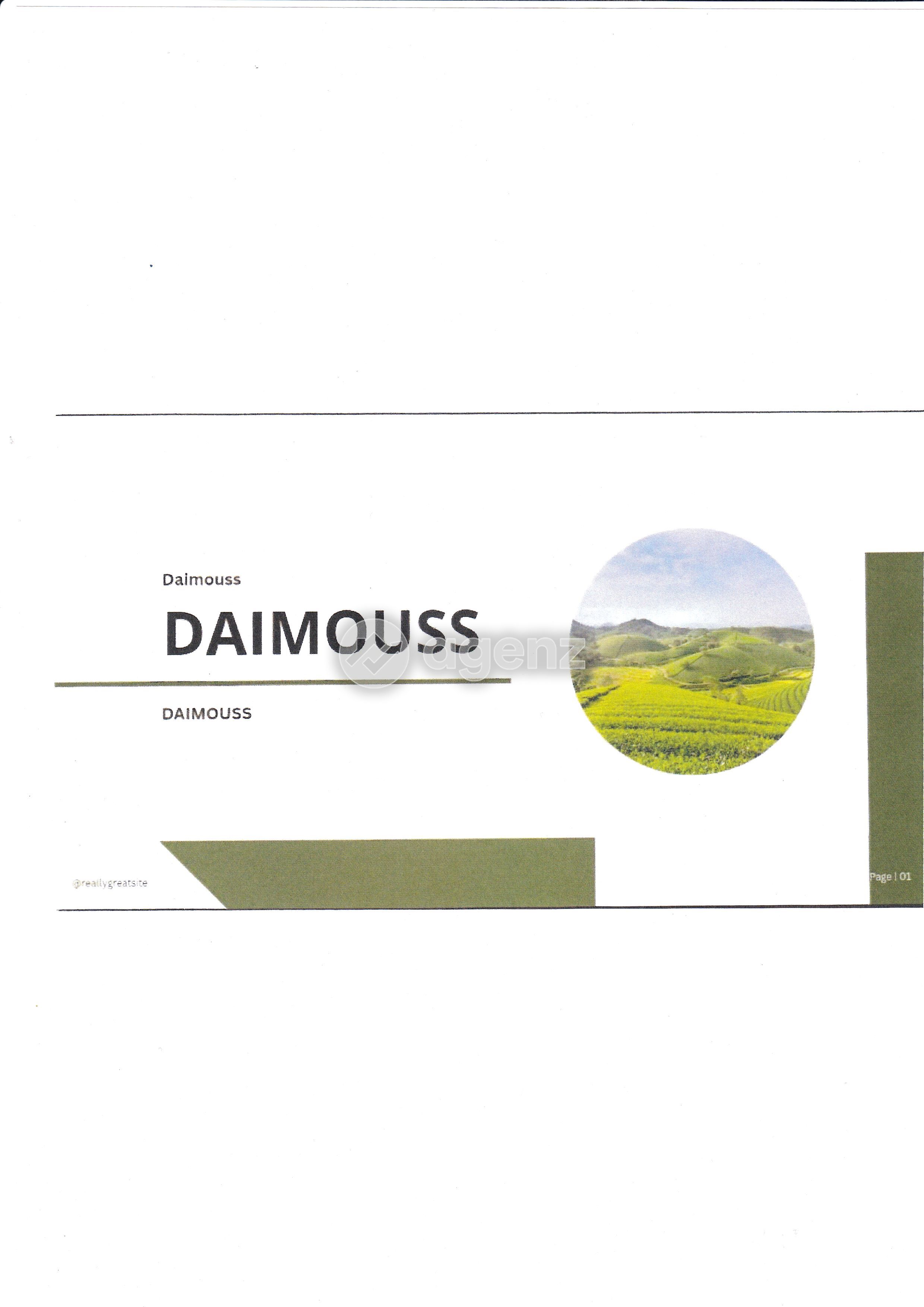 Lot de 5 parecelles agricoles titrées sur Daimouss/ Tanger