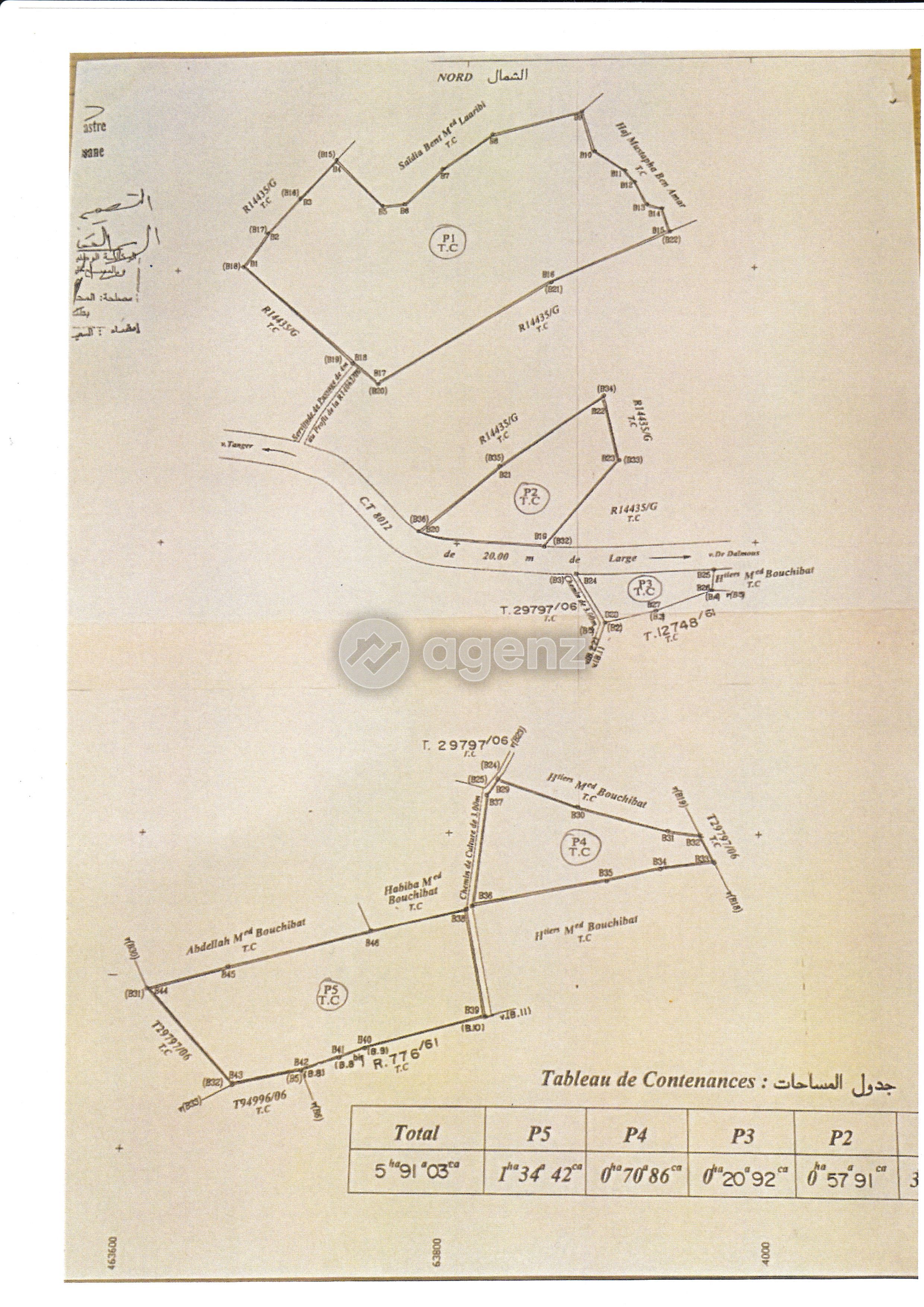 Lot de 5 parecelles agricoles titrées sur Daimouss/ Tanger — 2