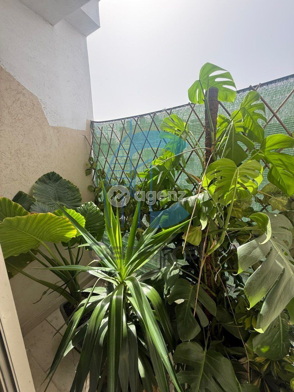 Appartement à vendre à Casablanca — 3