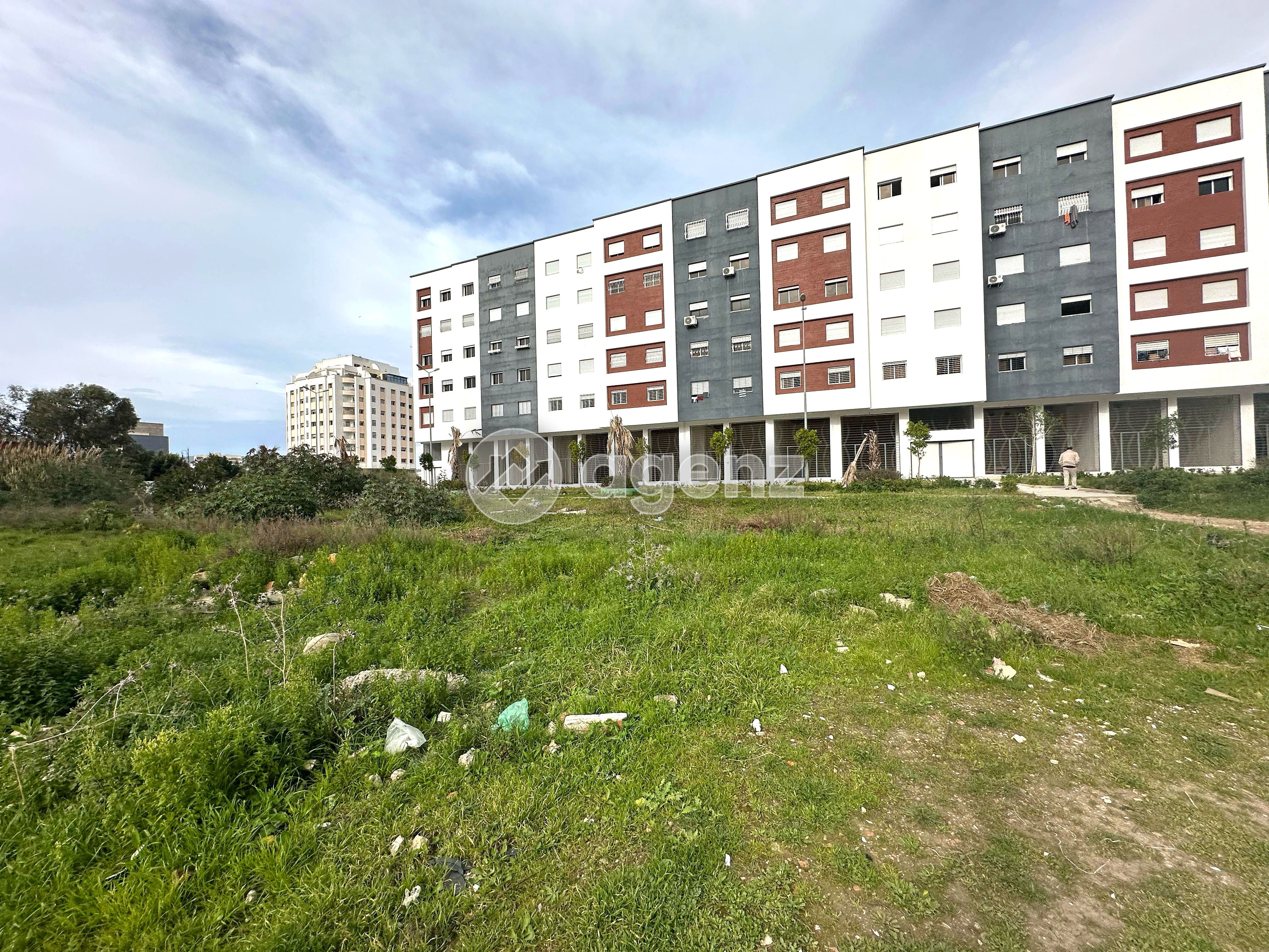 Terrain — Tanger-Assilah