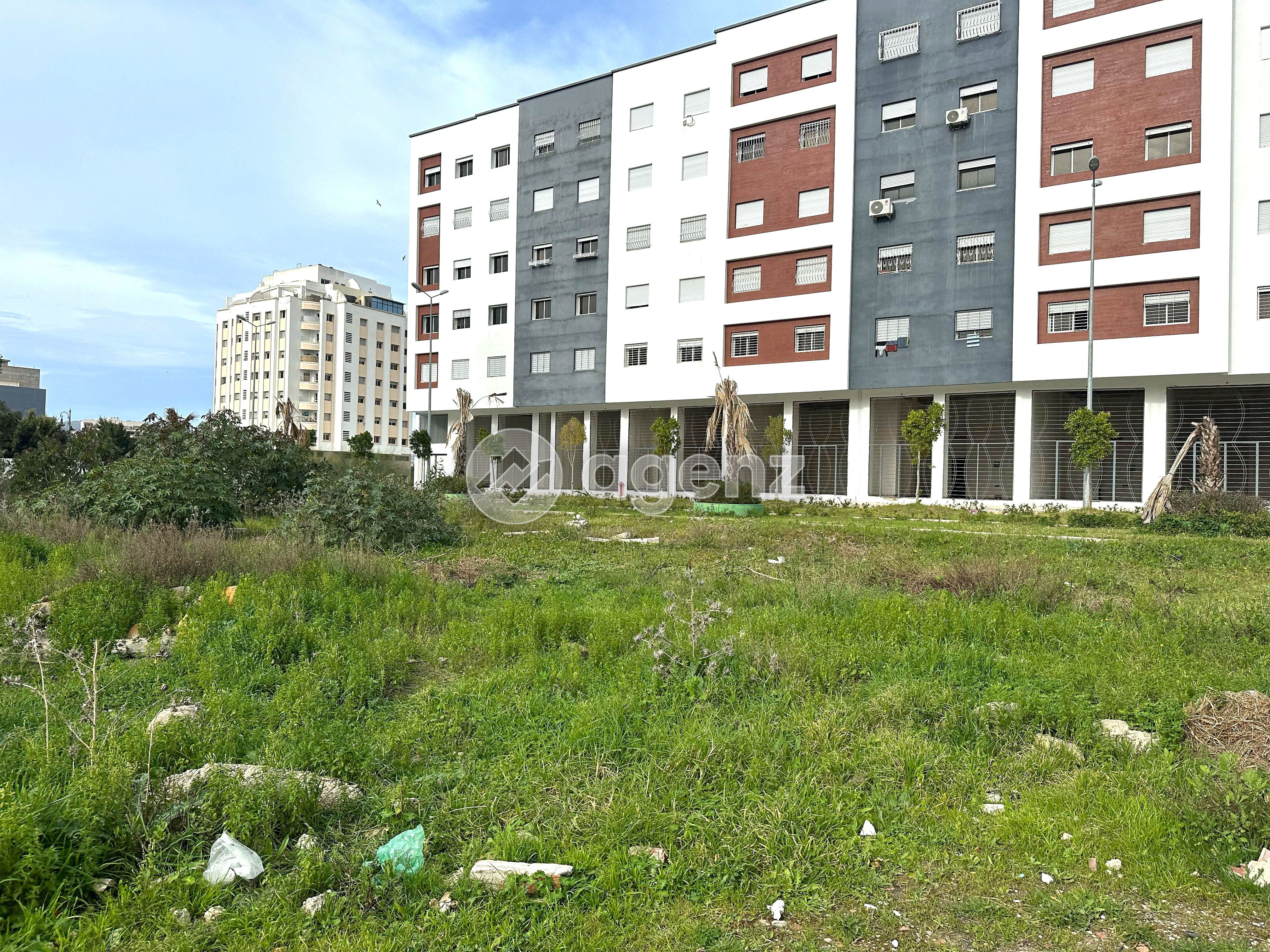 Terrain — Tanger-Assilah — 5