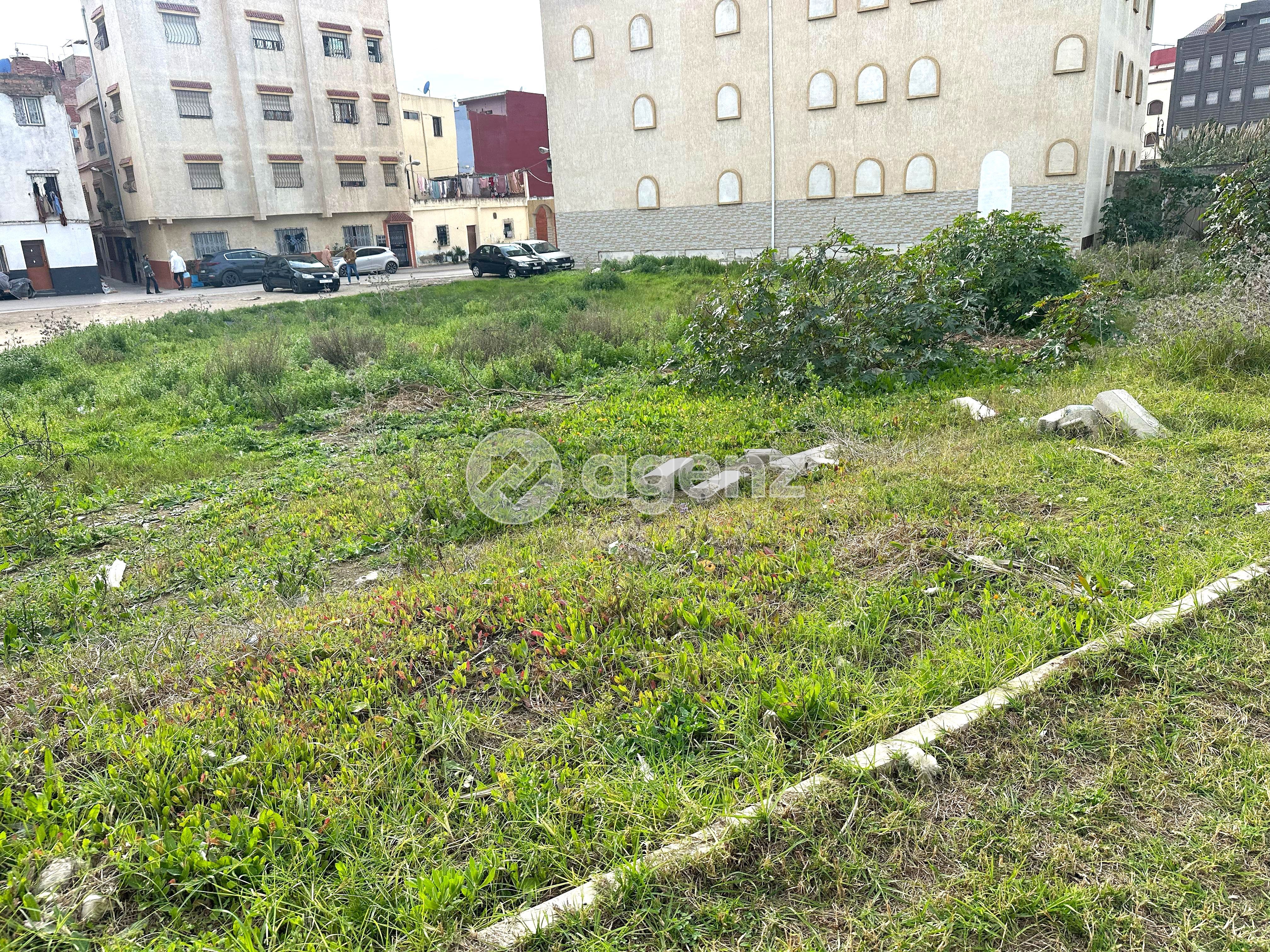 Terrain — Tanger-Assilah — 4