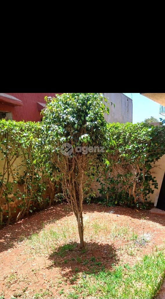 Appartement de luxe de 3 pièces à vendre — 3