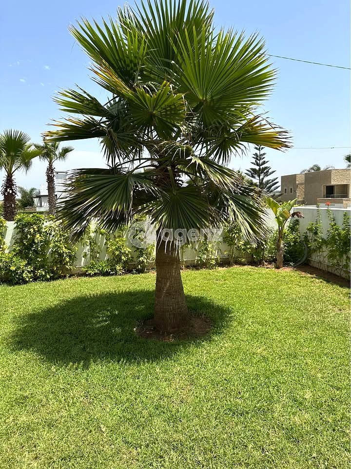 Luxueux Villa Prestigia plage des nation — 2