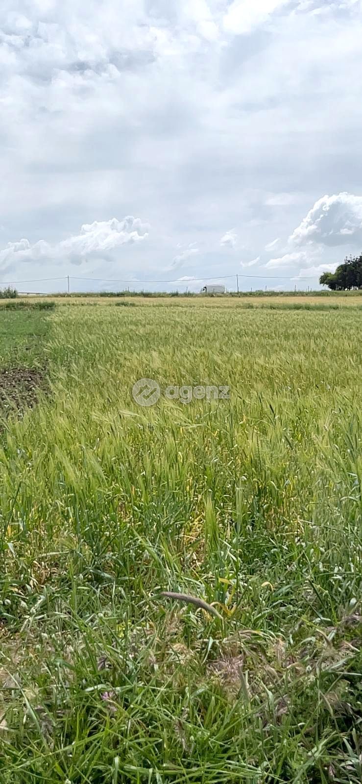 Terrain prestigieux à vendre
