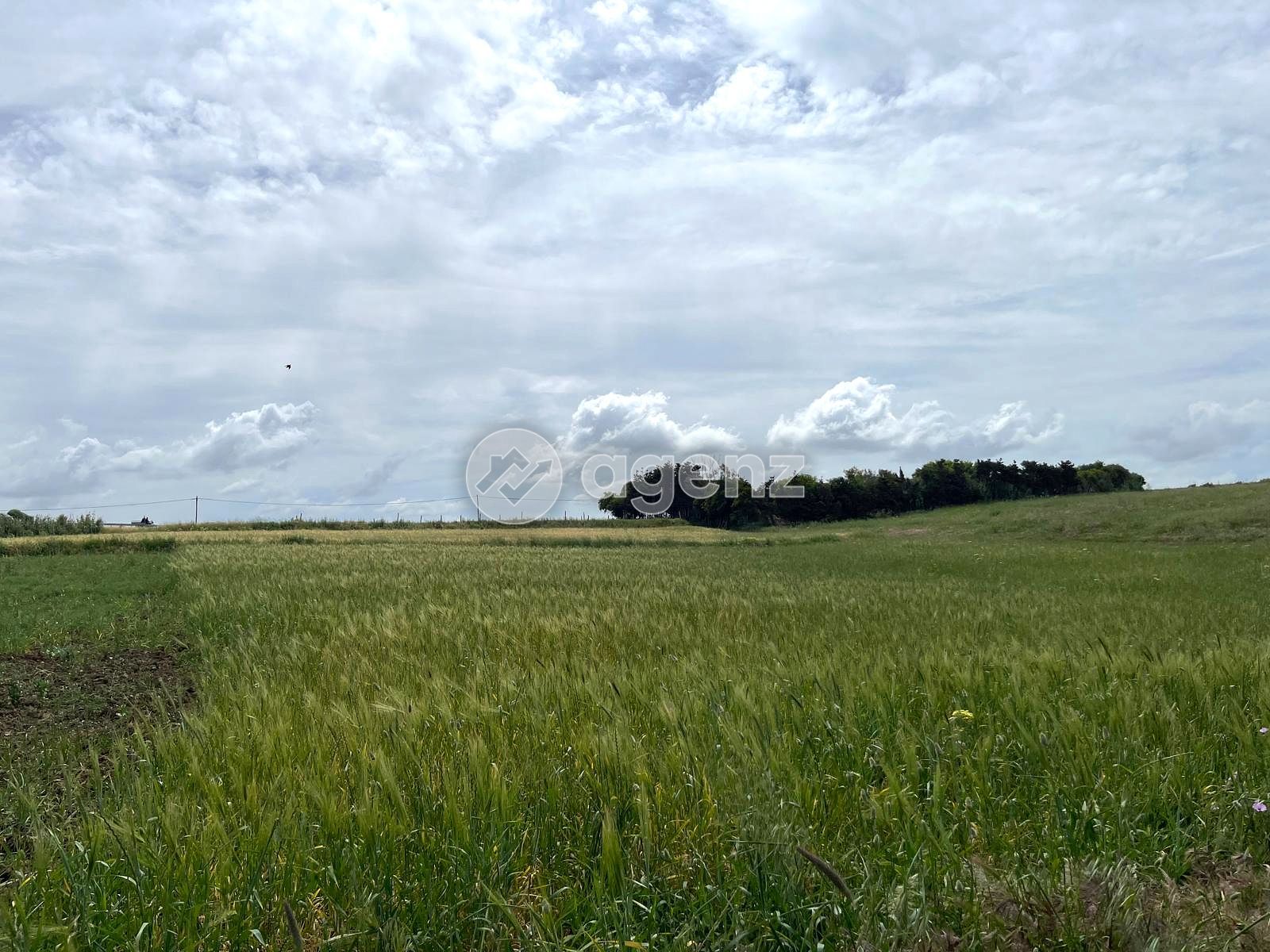 Terrain prestigieux à vendre — 2