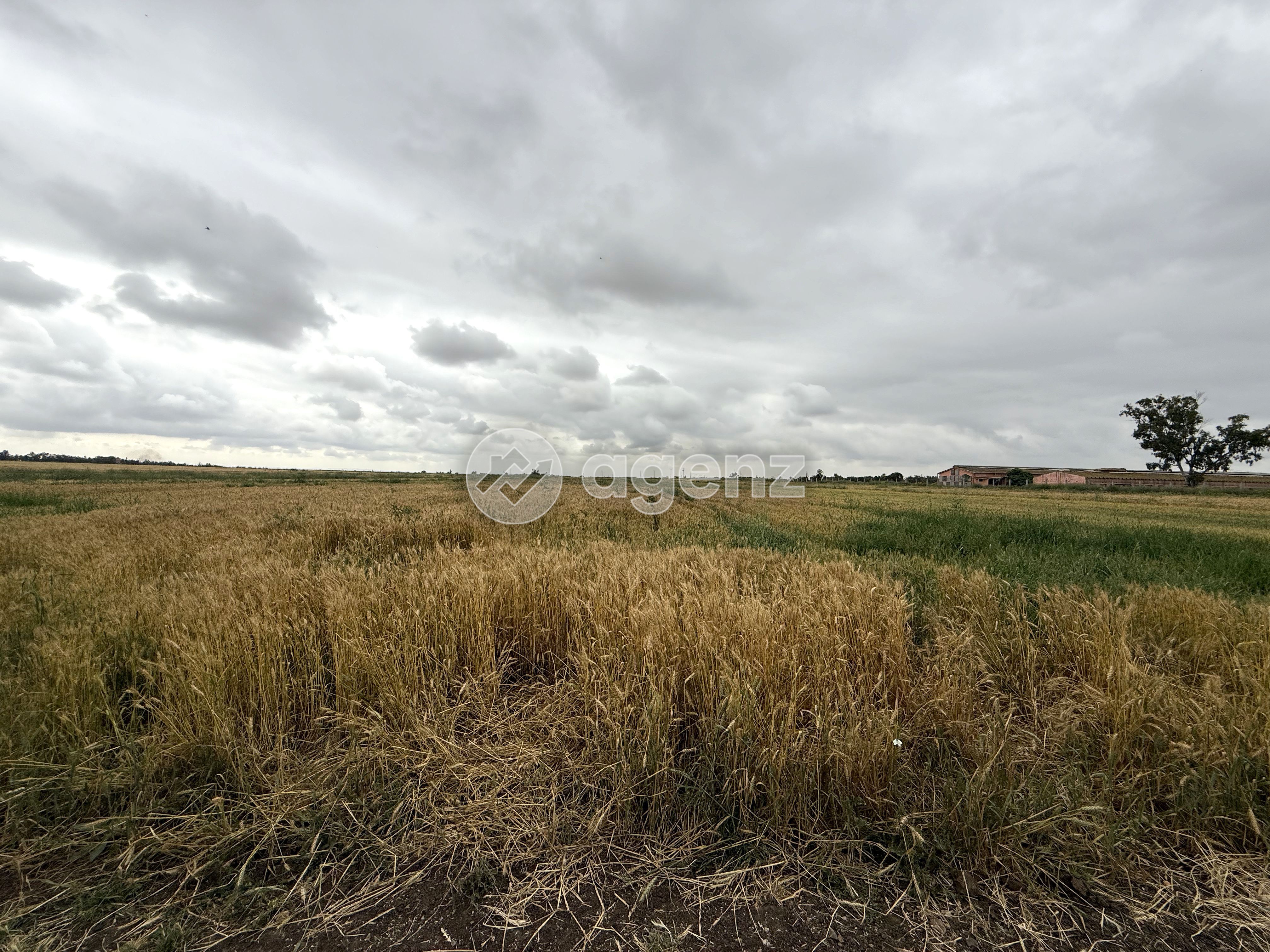 2 lots de terrain situés à Jemâa Fdalate (région Benslimane – proche Casablanca). — 4