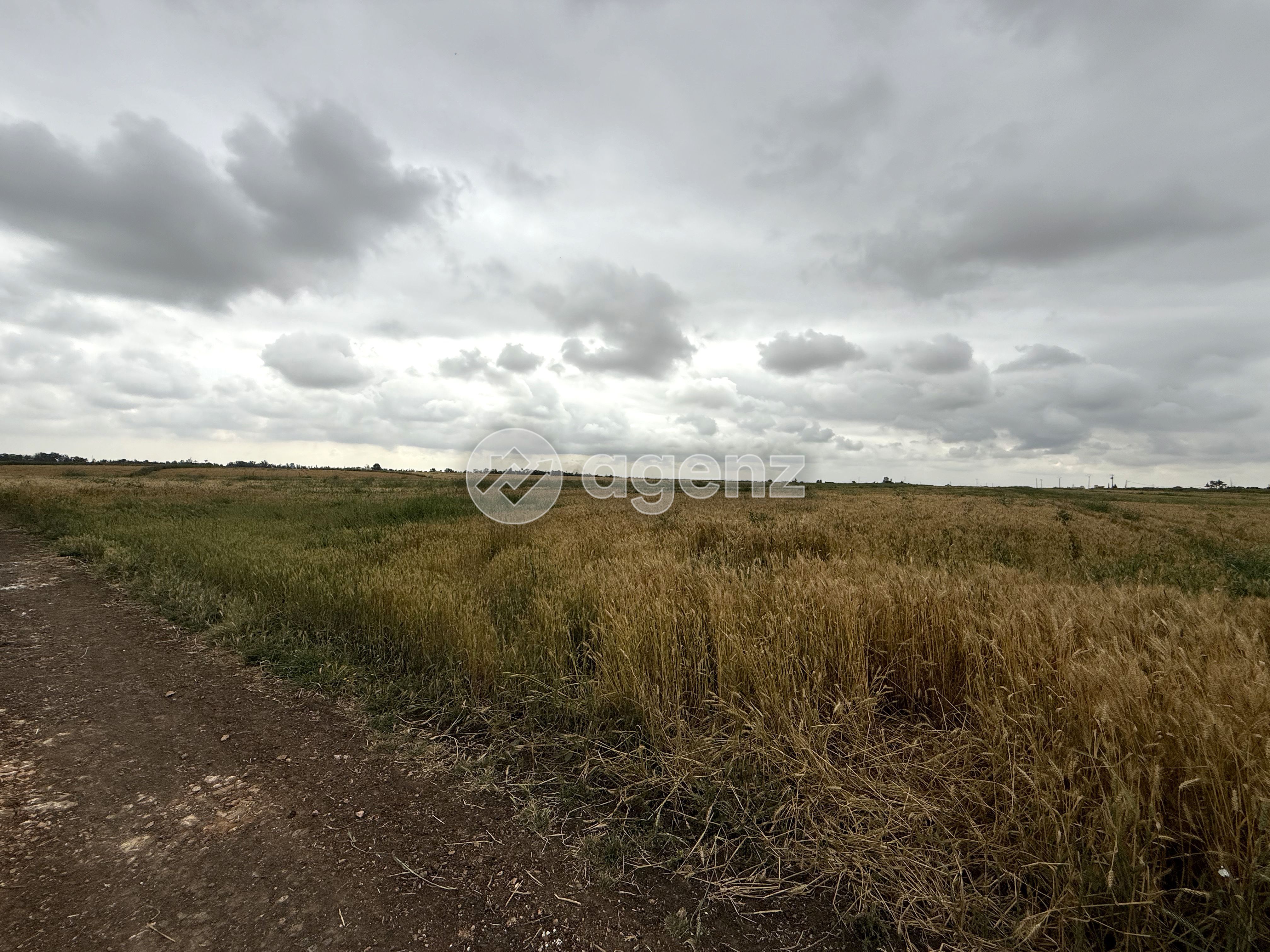 2 lots de terrain situés à Jemâa Fdalate (région Benslimane – proche Casablanca). — 3