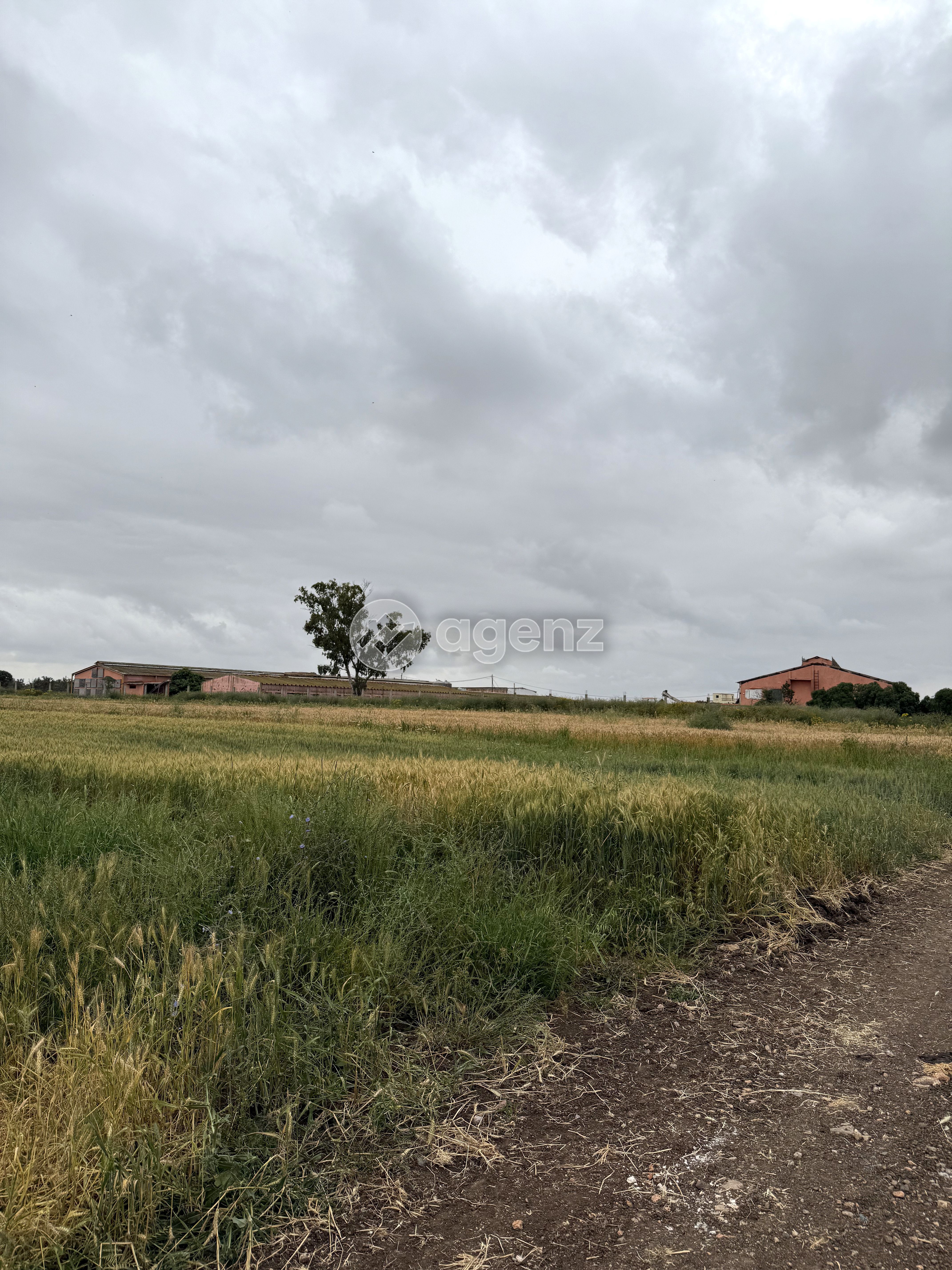 2 lots de terrain situés à Jemâa Fdalate (région Benslimane – proche Casablanca). — 5