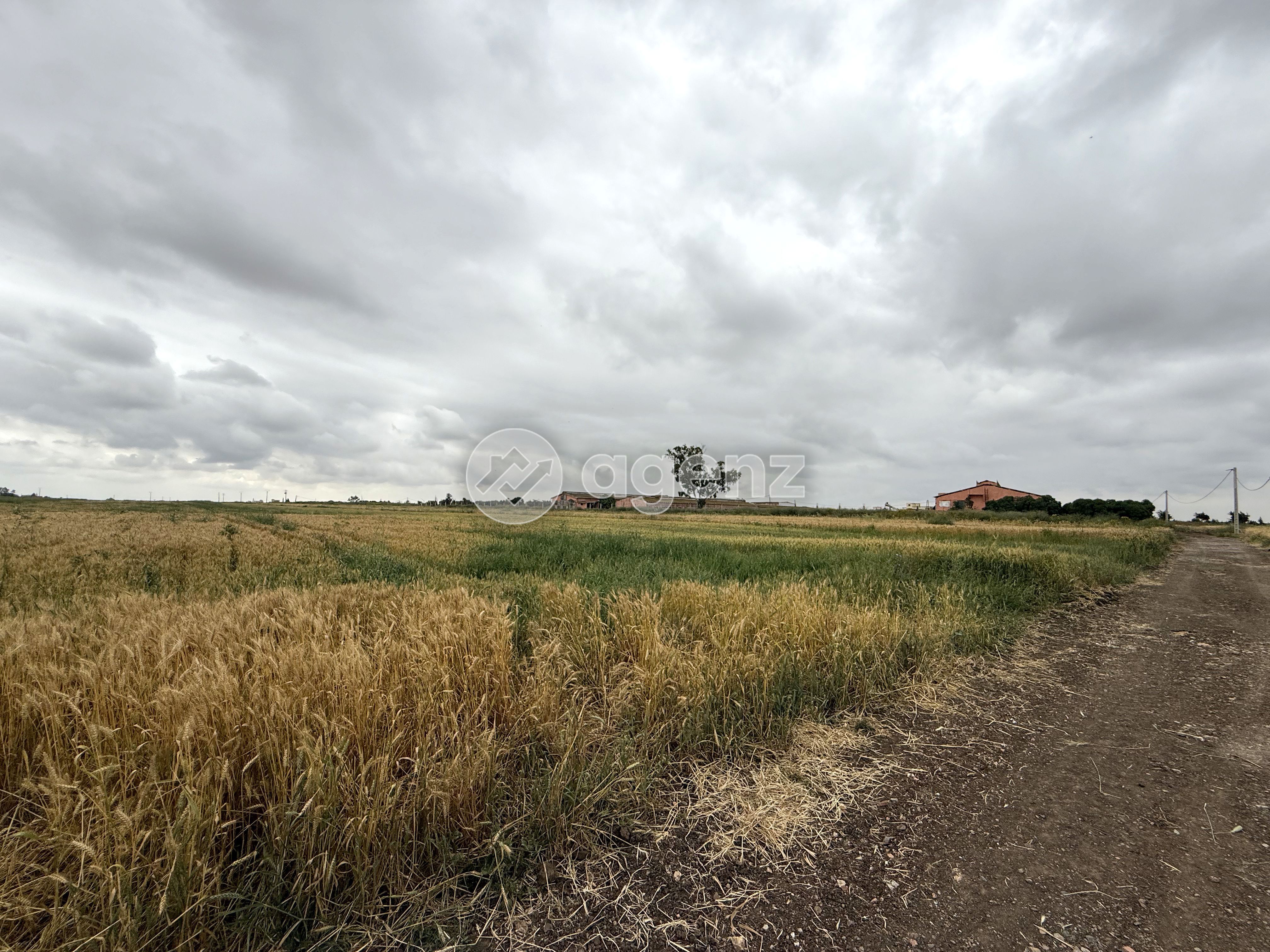 2 lots de terrain situés à Jemâa Fdalate (région Benslimane – proche Casablanca). — 2