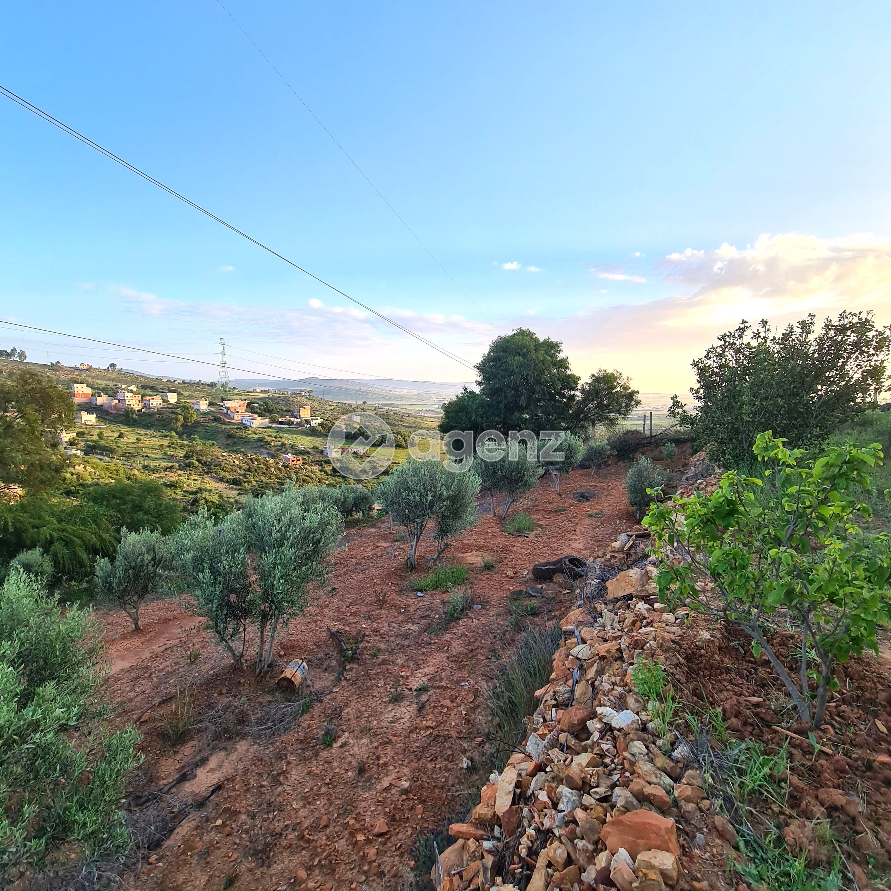 Terrain agricole avec un titre de propriété et une maison moderne à vendre à Ain Dalia, Tanger. — 2