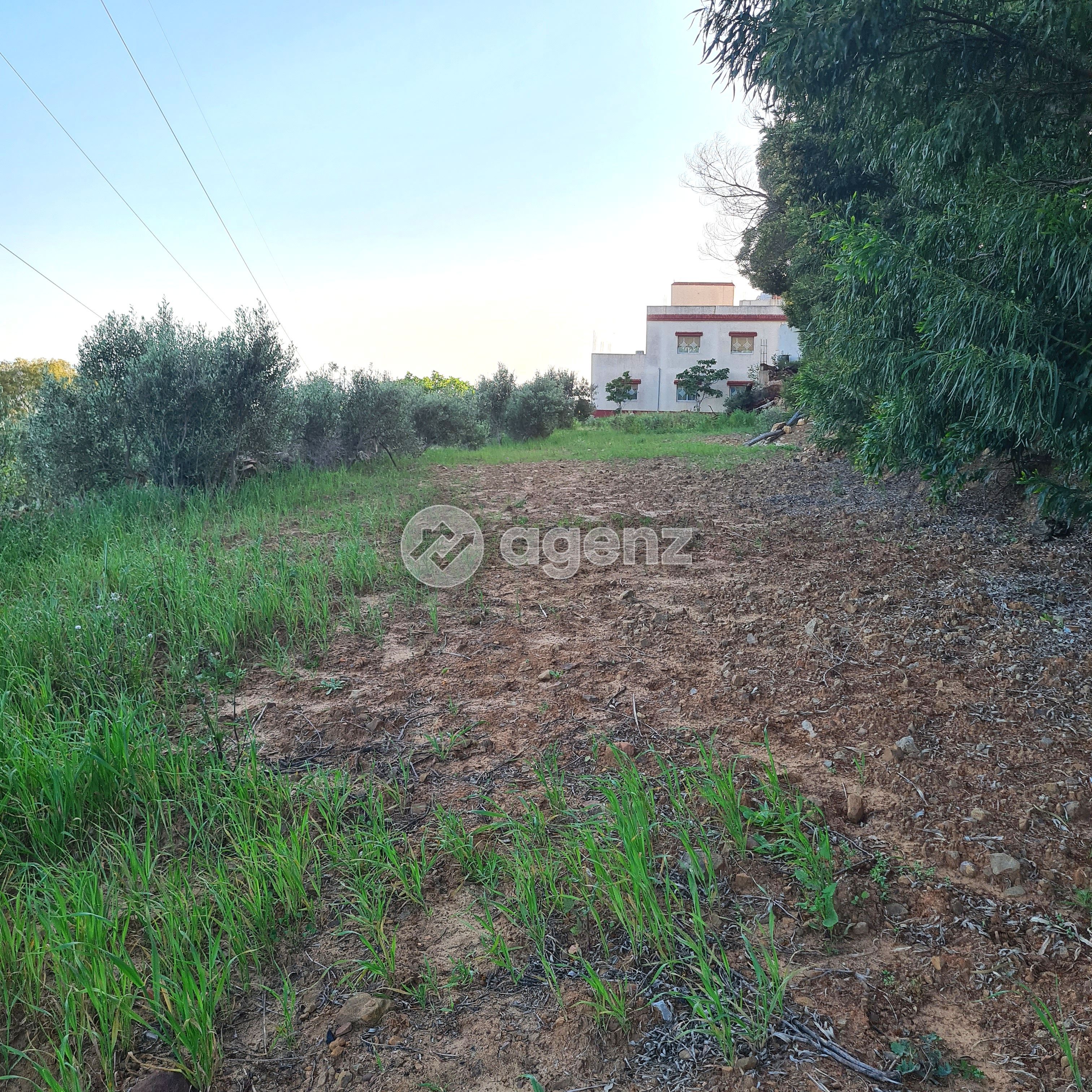 Terrain agricole avec un titre de propriété et une maison moderne à vendre à Ain Dalia, Tanger. — 3