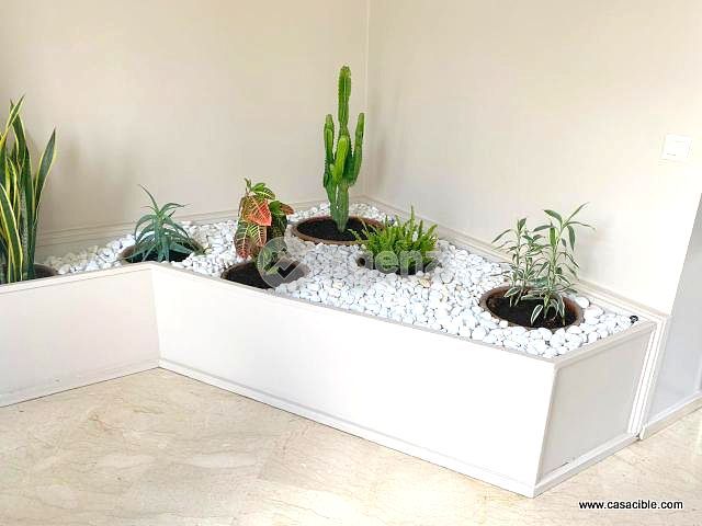 Joli appartement meublé avec terrasse à Racine — 4