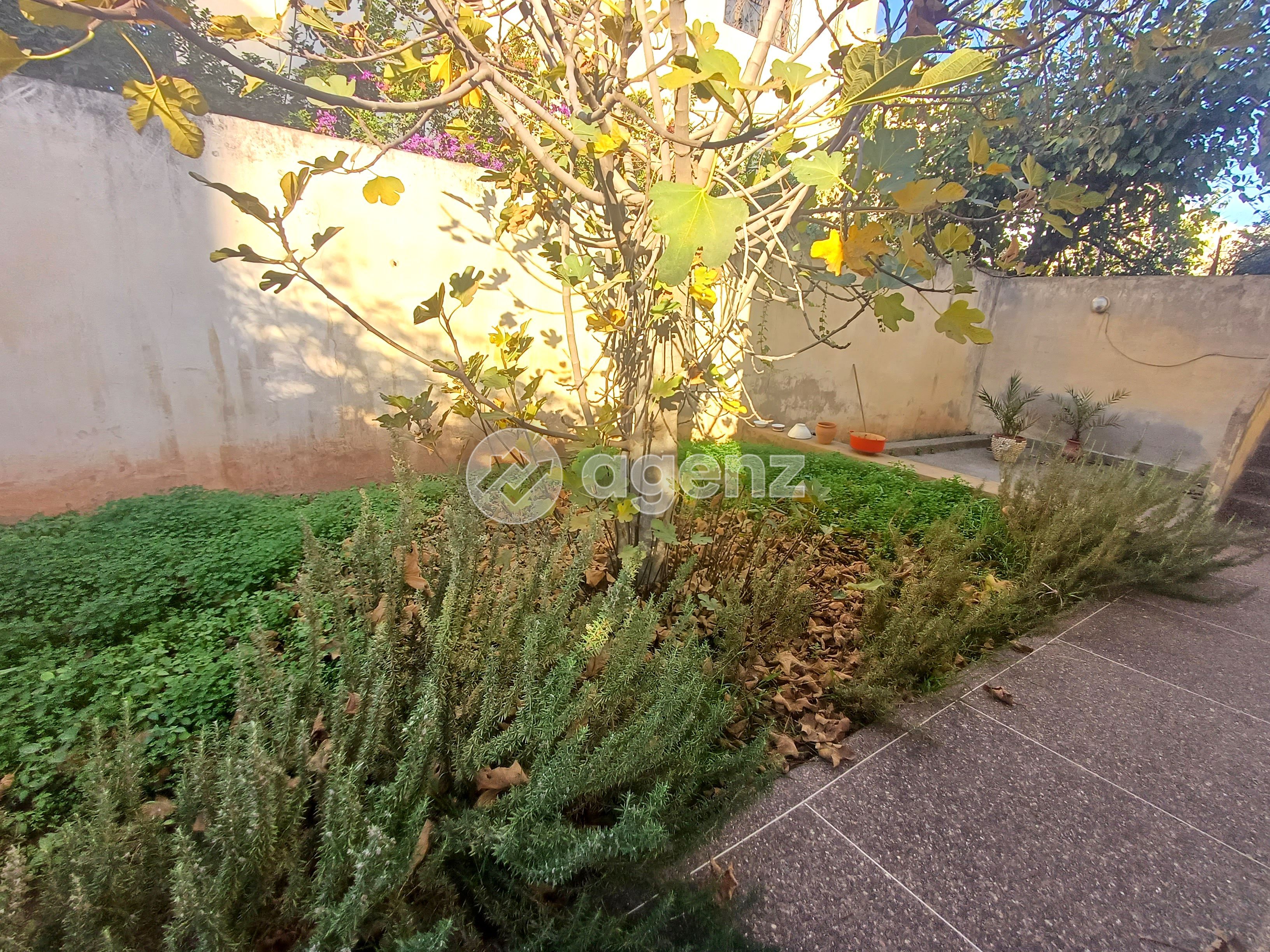 Villa en zone commerciale avec fort potentiel de valorisation — 3