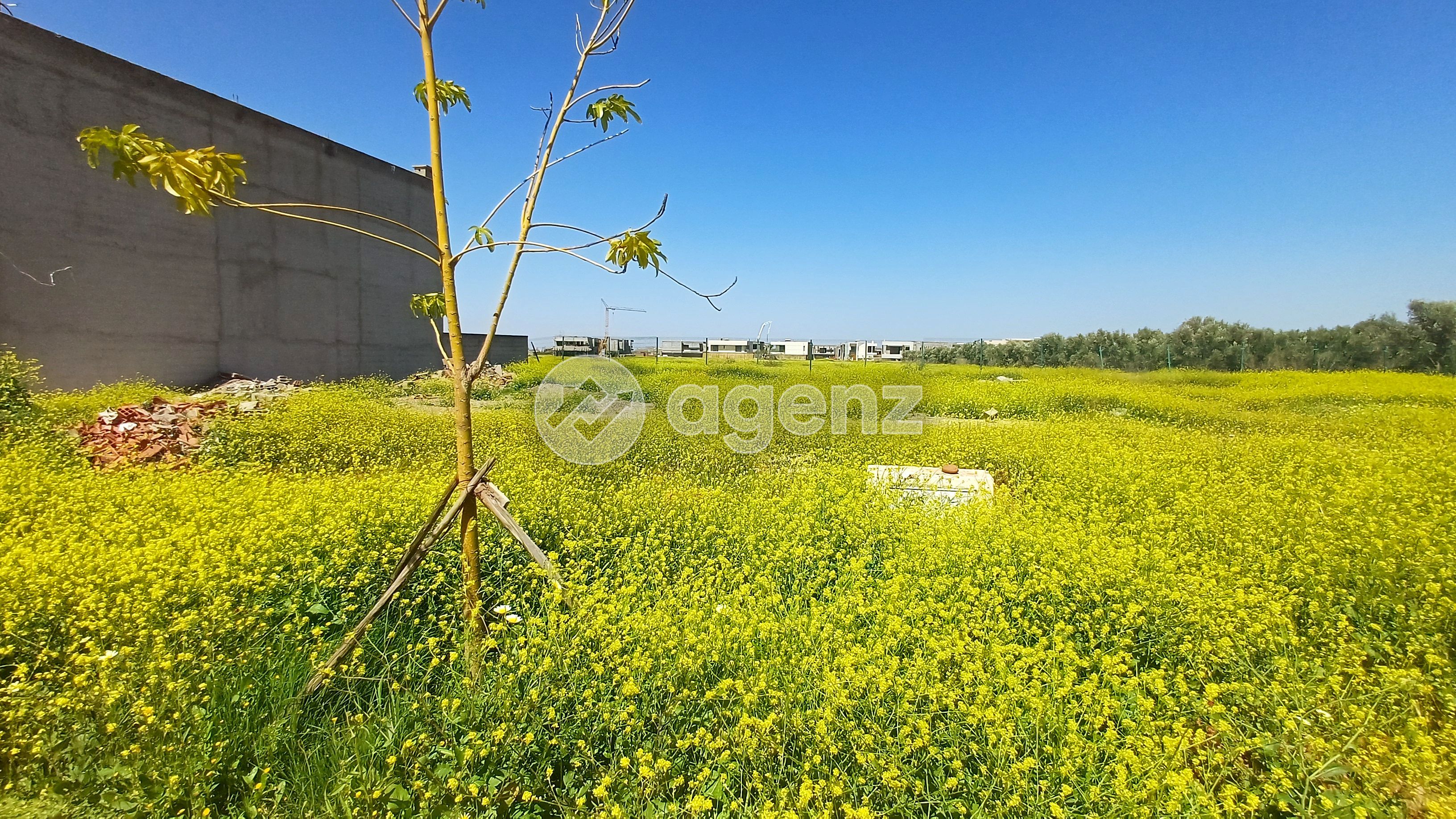 Terrain de 492 m² à Marrakech-Safi — 5