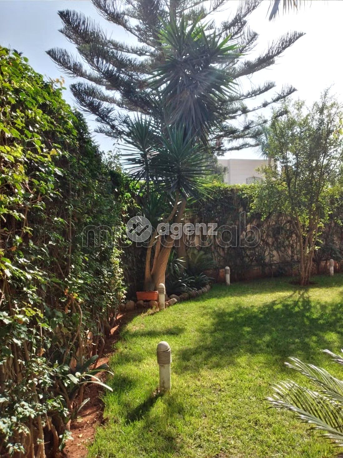 Villa luxe Sidi Maârouf avec jardin jacuzzi hammam beldi