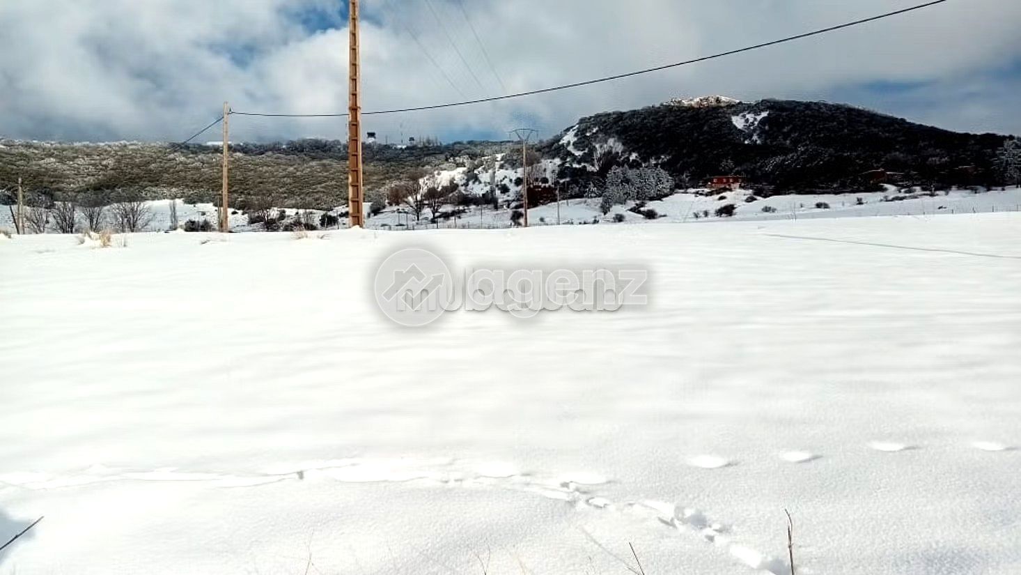 Terrain à vendre ZONE VILLA 
Projet touristique — 3