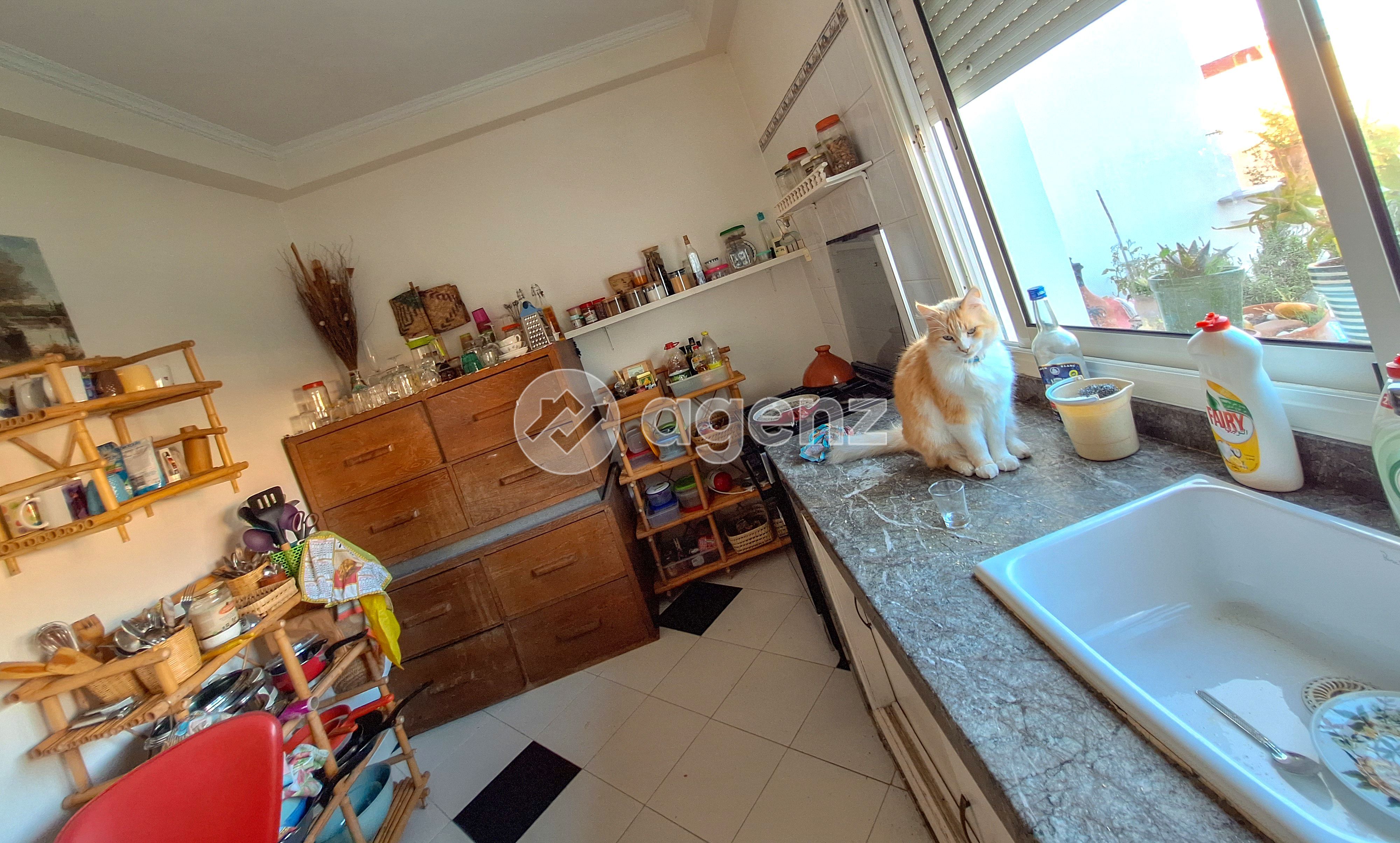 Villa — El Jadida — 5