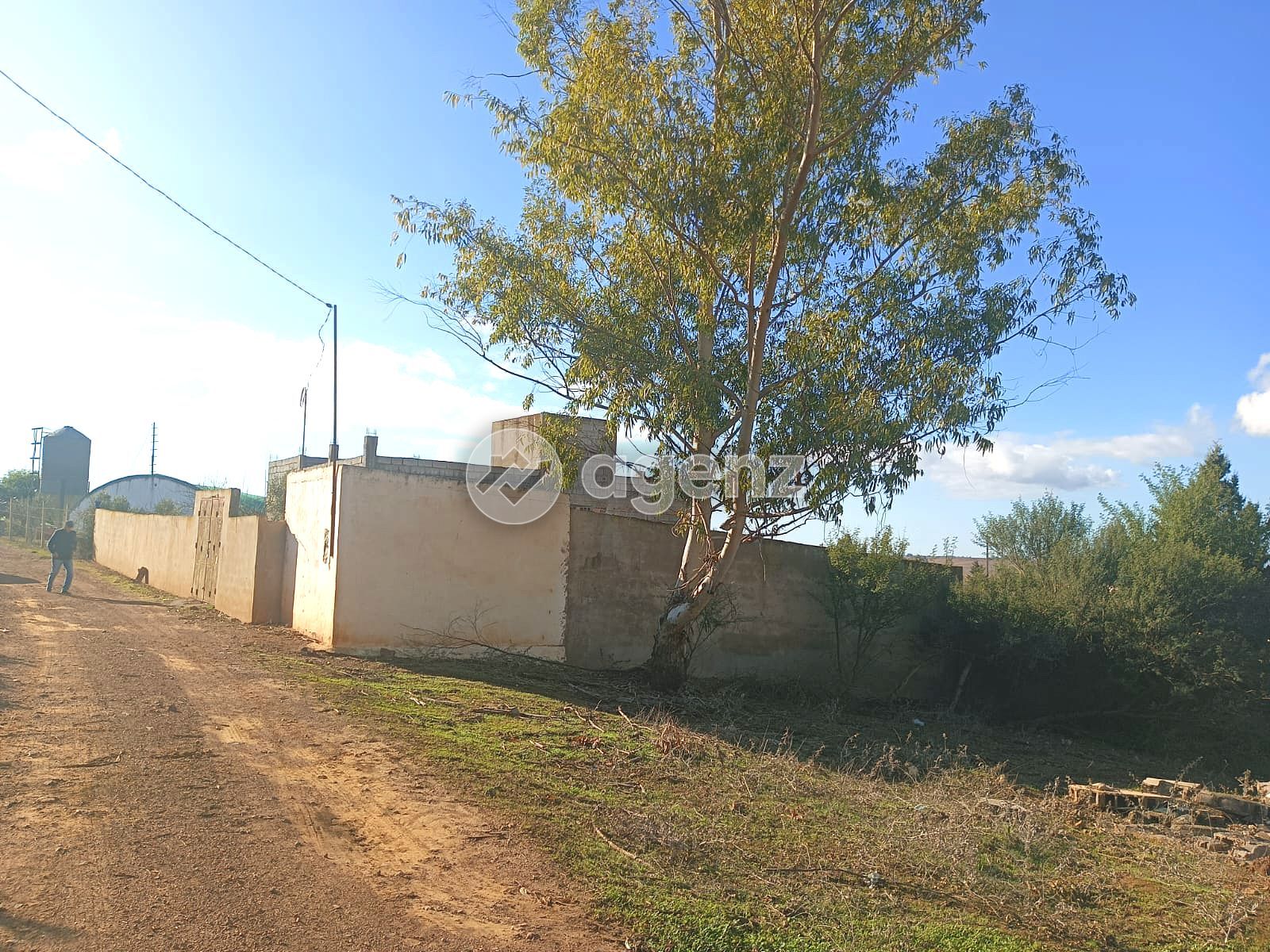 Ferme à vendre à sidi Yahya zaer — 2