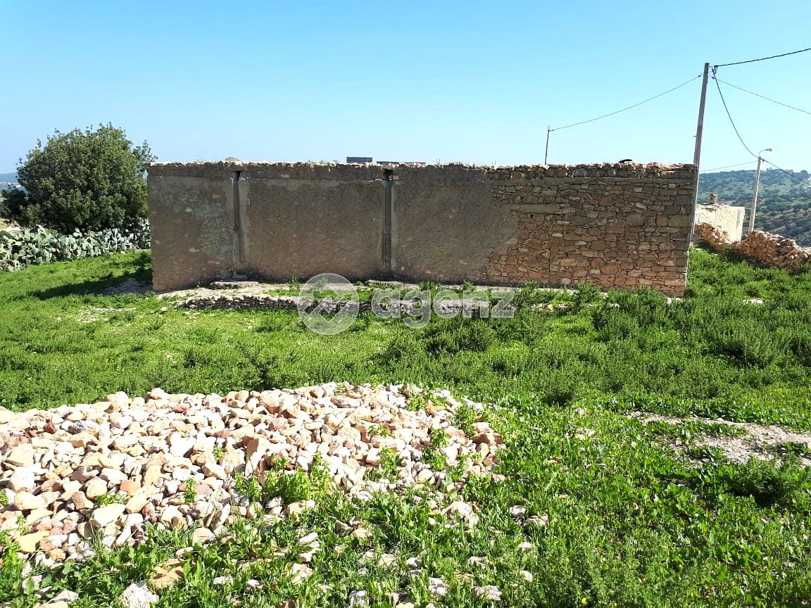 Terrain 1985 m² Titré Drarga Amalou Agadir — 5