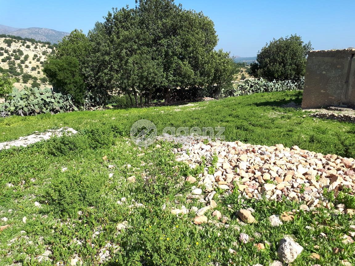 Terrain 1985 m² Titré Drarga Amalou Agadir — 3