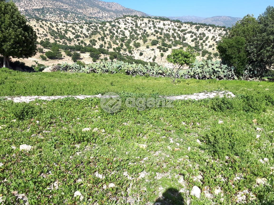 Terrain 1985 m² Titré Drarga Amalou Agadir — 4