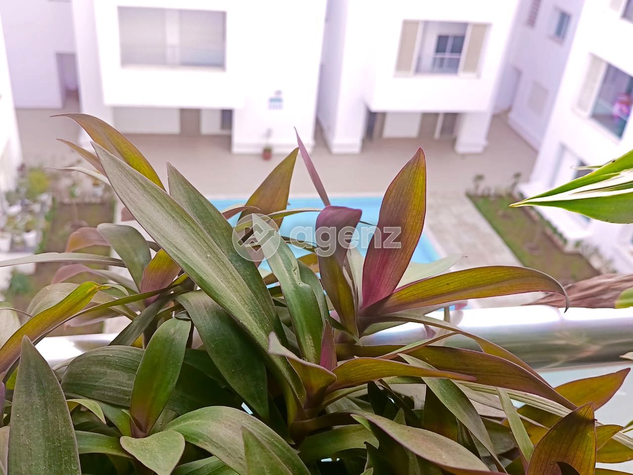 Appartement — Mohammedia
